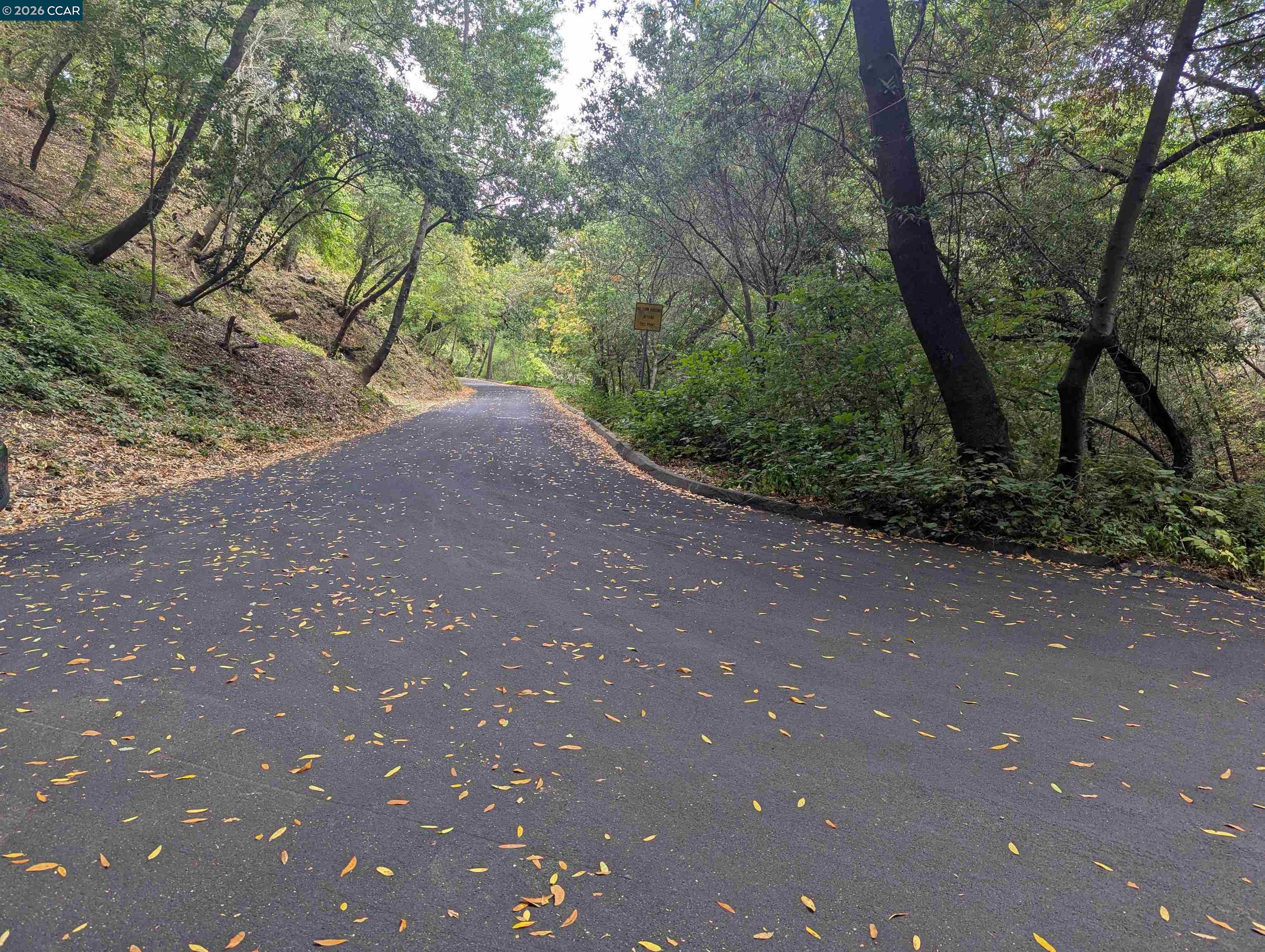 Detail Gallery Image 13 of 15 For 0 Cañon Dr, Orinda,  CA 94563 - – Beds | – Baths