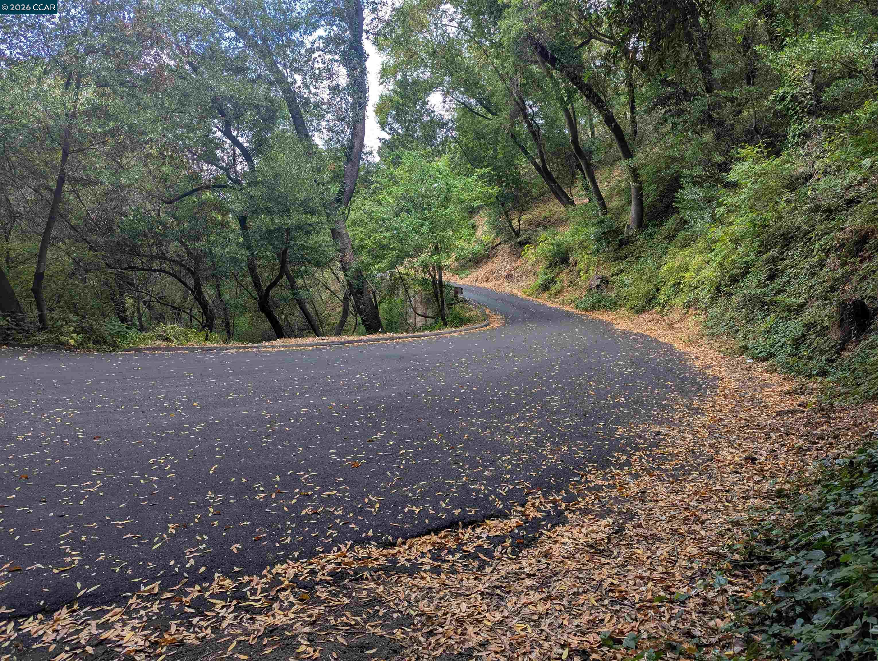 Detail Gallery Image 14 of 15 For 0 Cañon Dr, Orinda,  CA 94563 - – Beds | – Baths