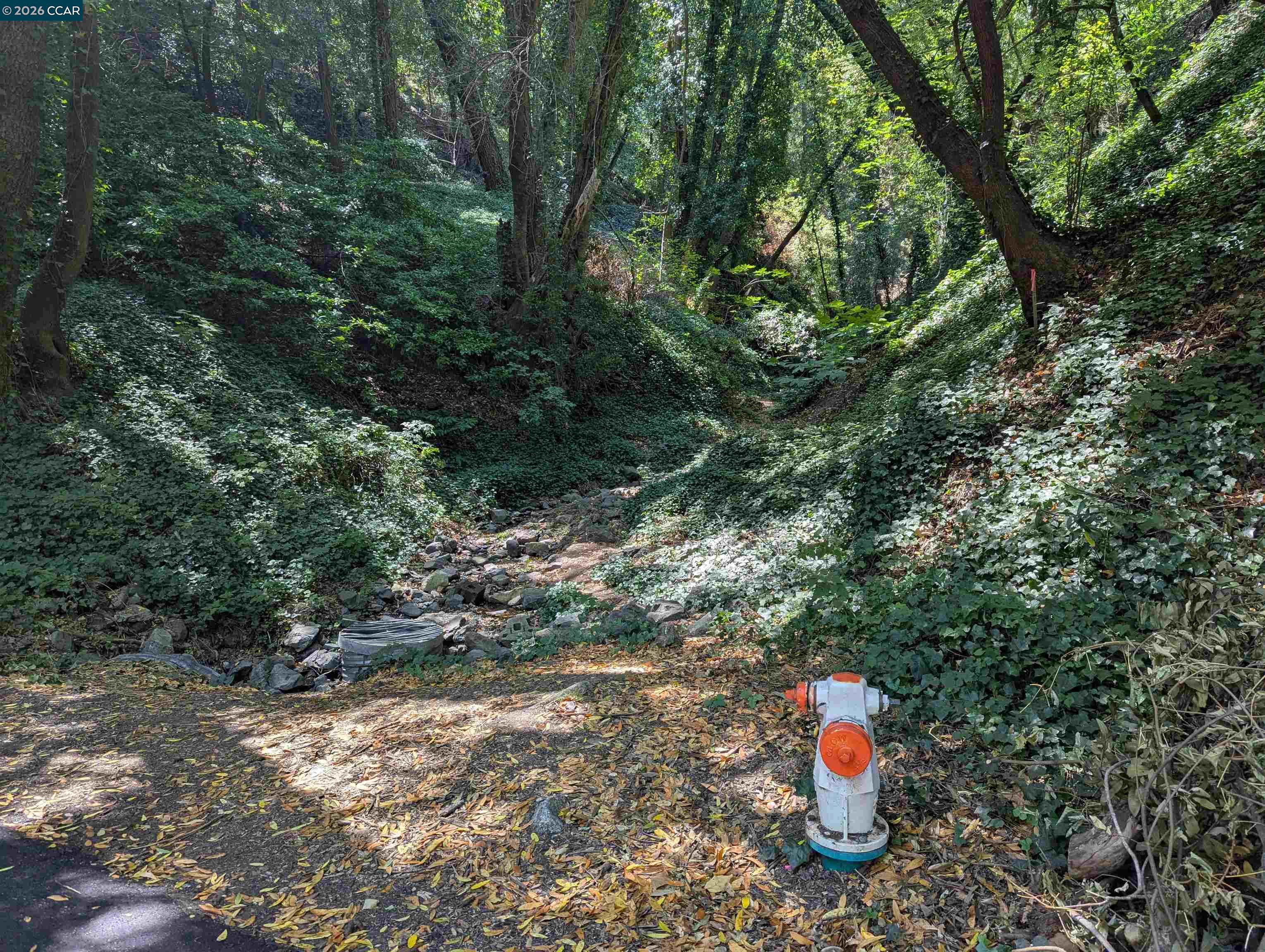 Detail Gallery Image 3 of 15 For 0 Cañon Dr, Orinda,  CA 94563 - – Beds | – Baths