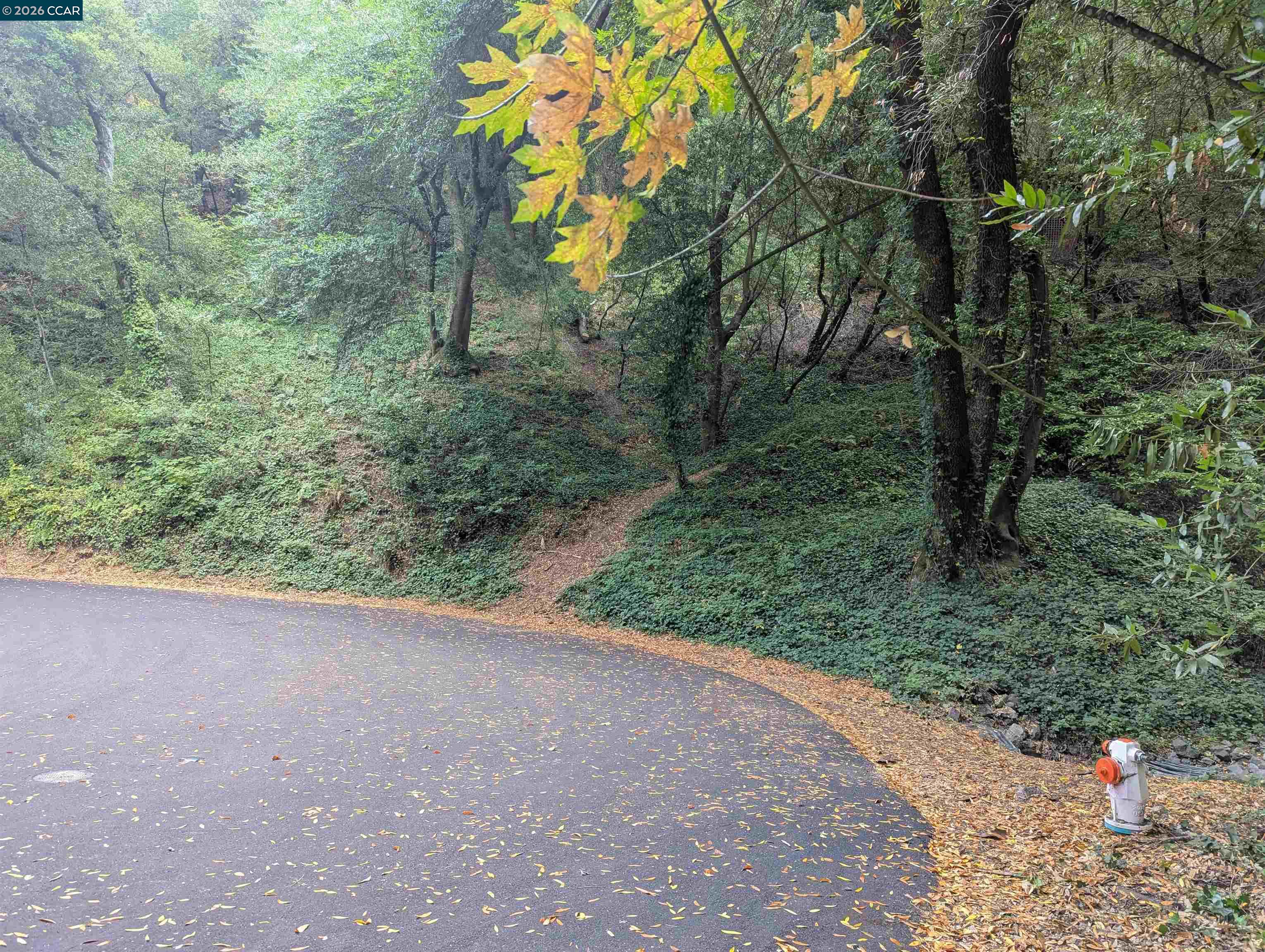 Detail Gallery Image 6 of 15 For 0 Cañon Dr, Orinda,  CA 94563 - – Beds | – Baths