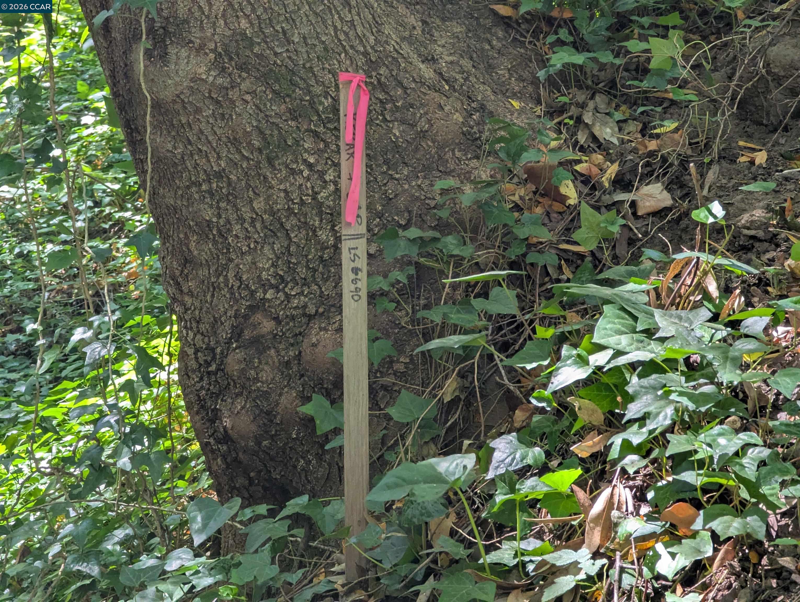 Detail Gallery Image 7 of 15 For 0 Cañon Dr, Orinda,  CA 94563 - – Beds | – Baths