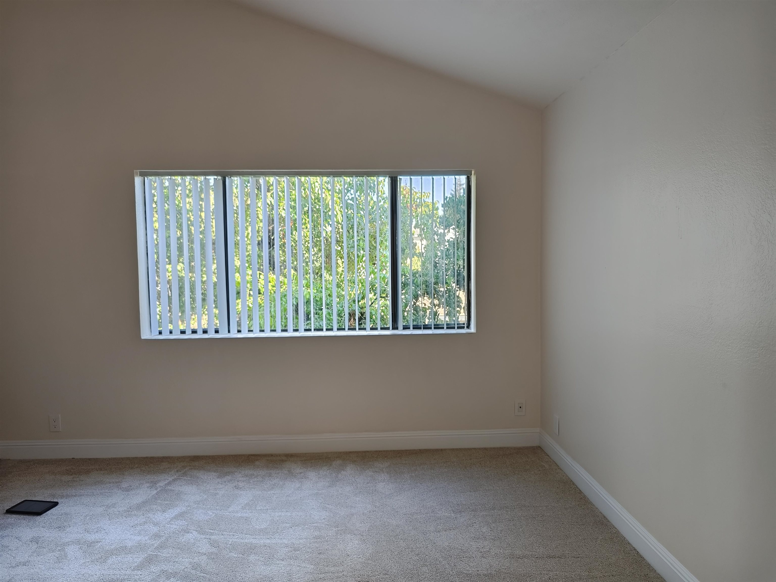 Photo #17: 41122242 Listing: Photo #17