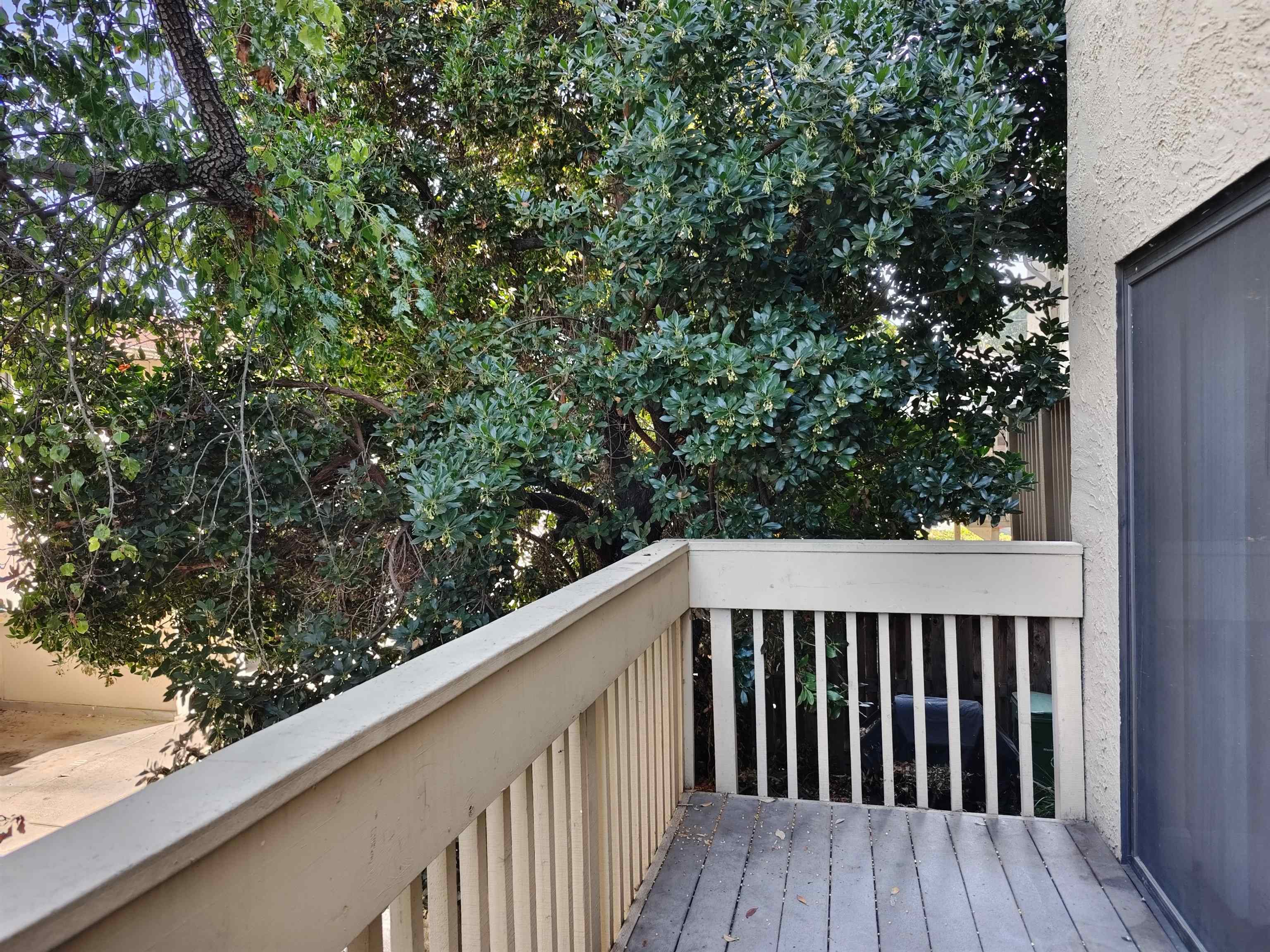 Photo #20: 41122242 Listing: Photo #20