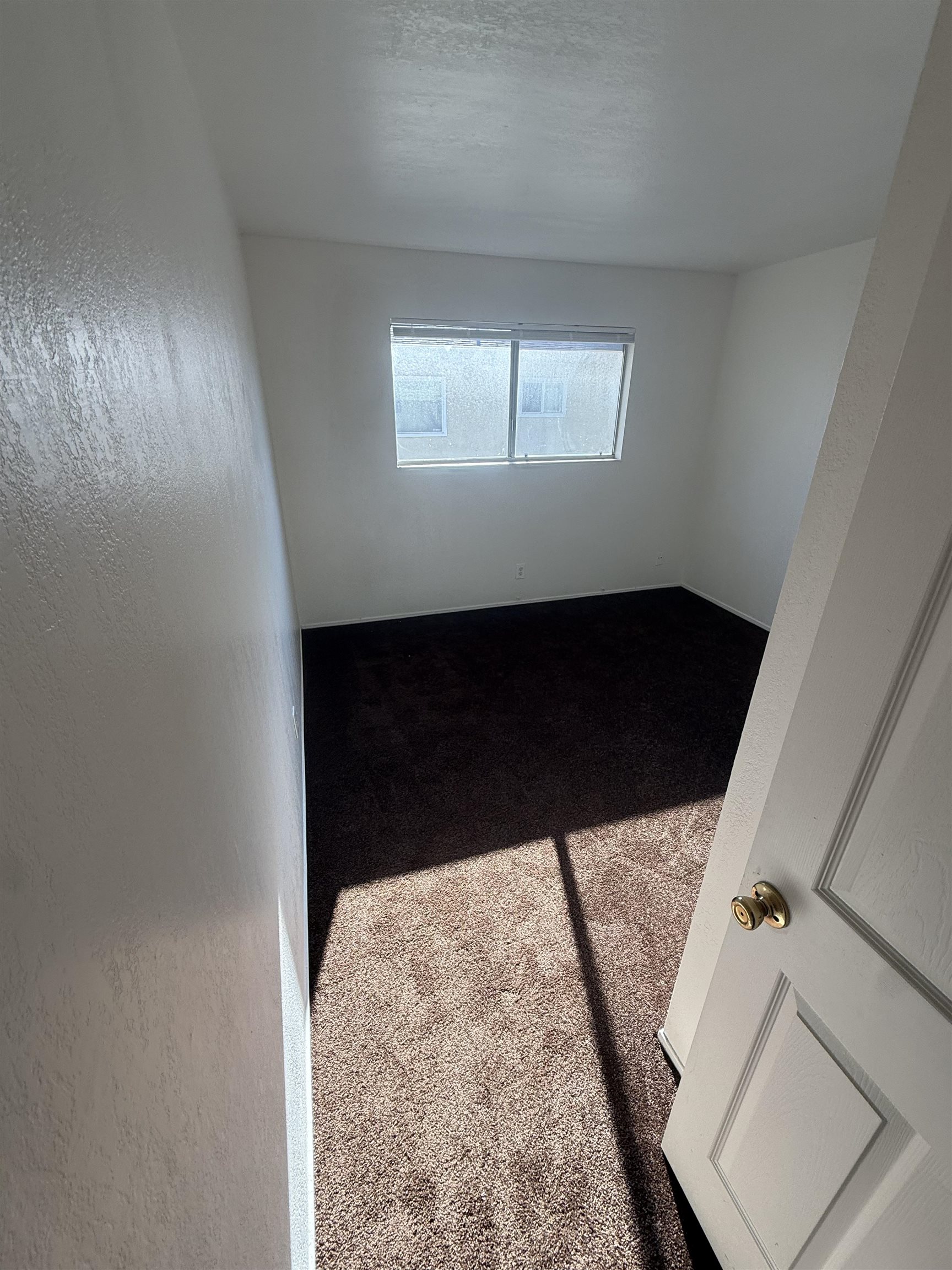 Photo #4: 41122257 Listing: Photo #4