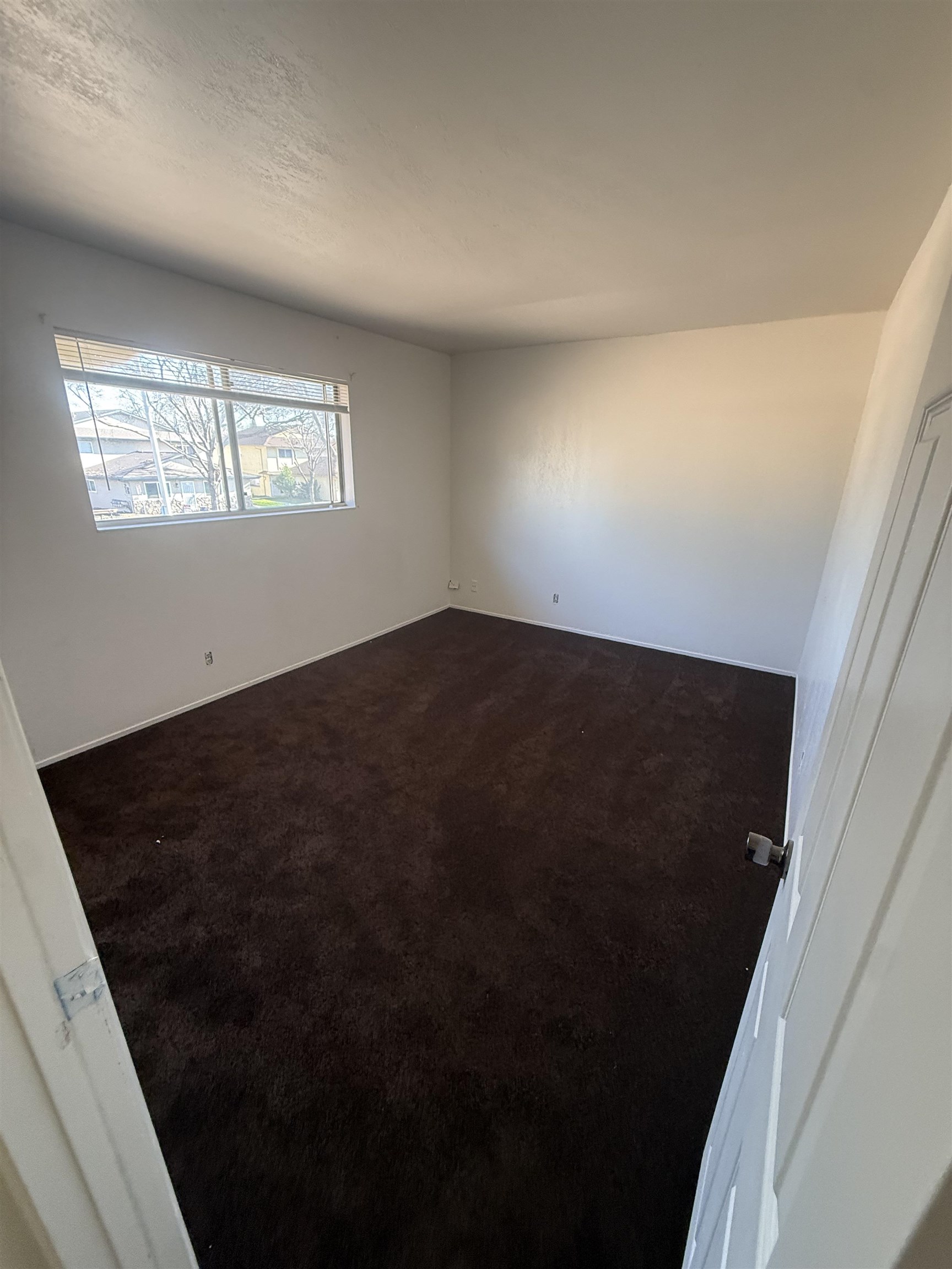 Photo #6: 41122257 Listing: Photo #6