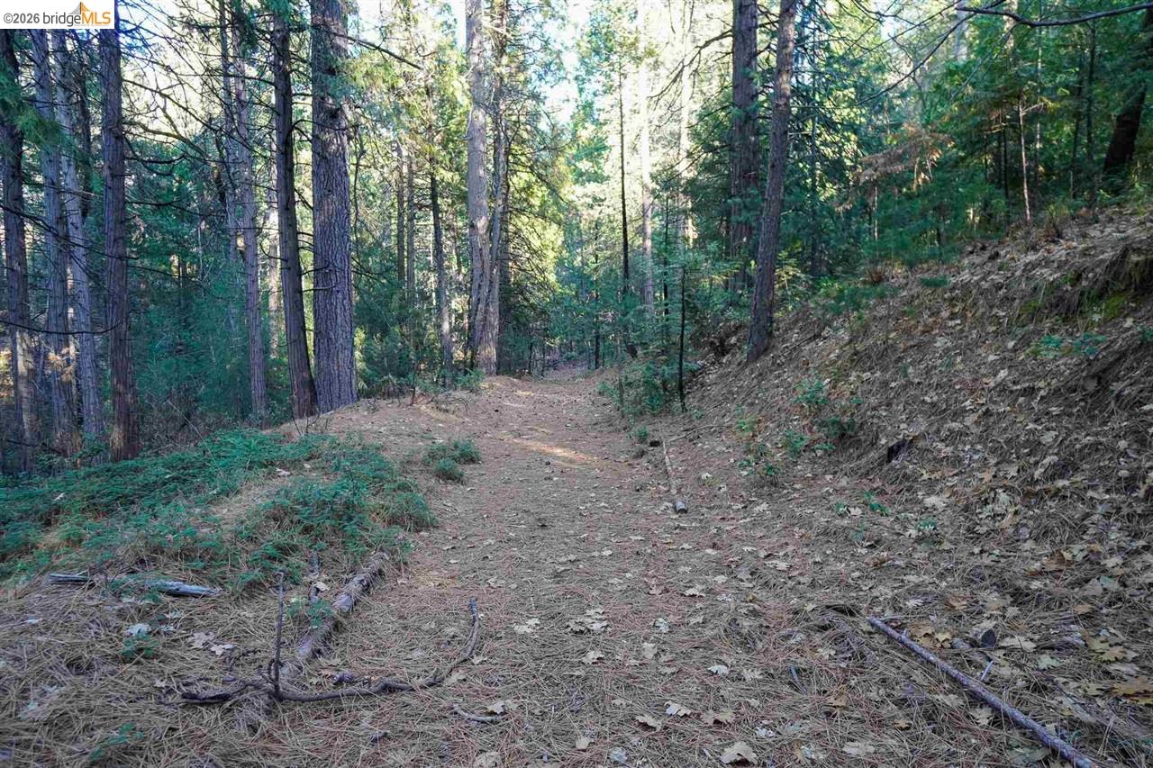 17400 Mount Elizabeth, Sonora CA 95370 — photo 38