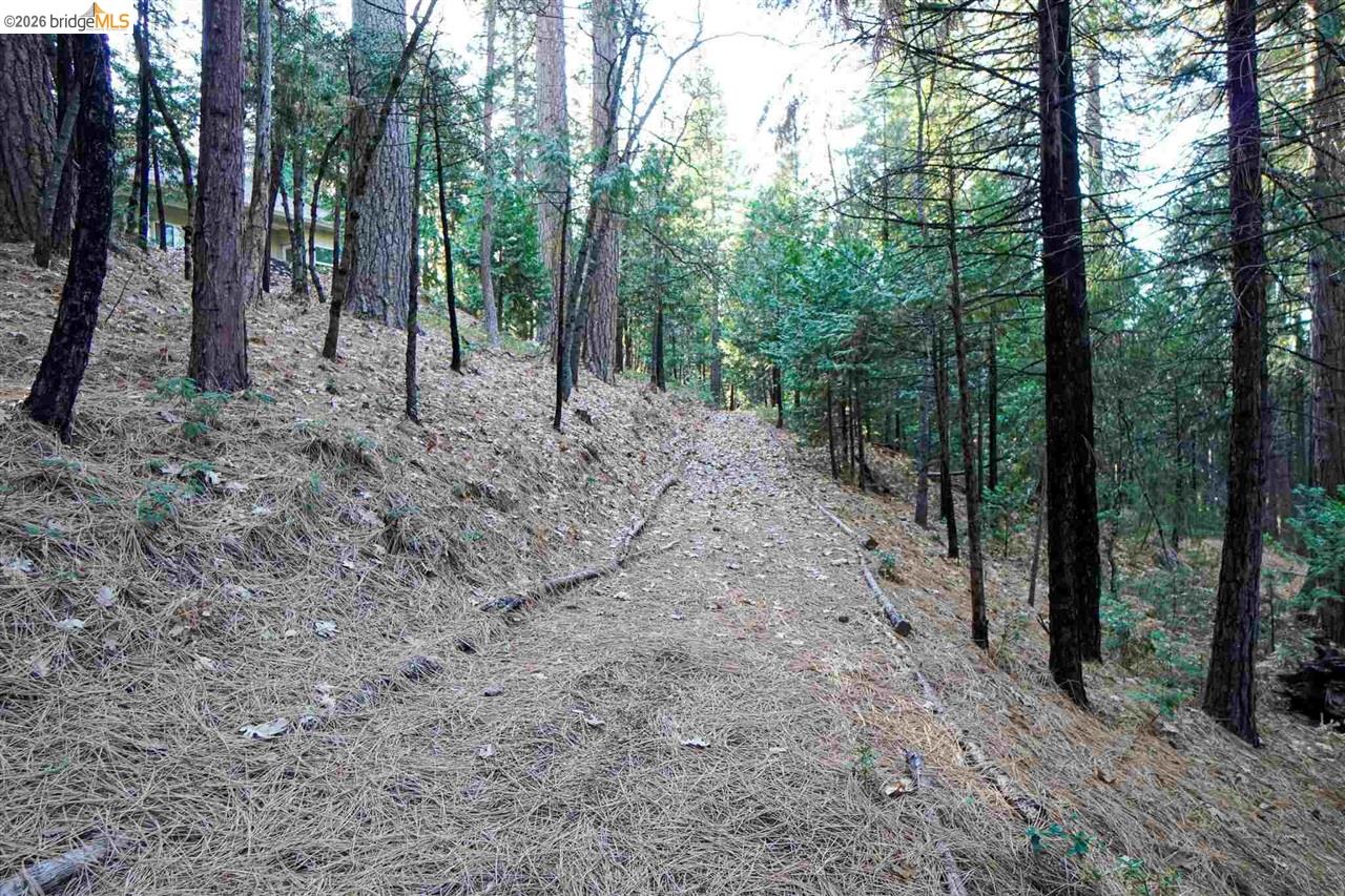 17400 Mount Elizabeth, Sonora CA 95370 — photo 40