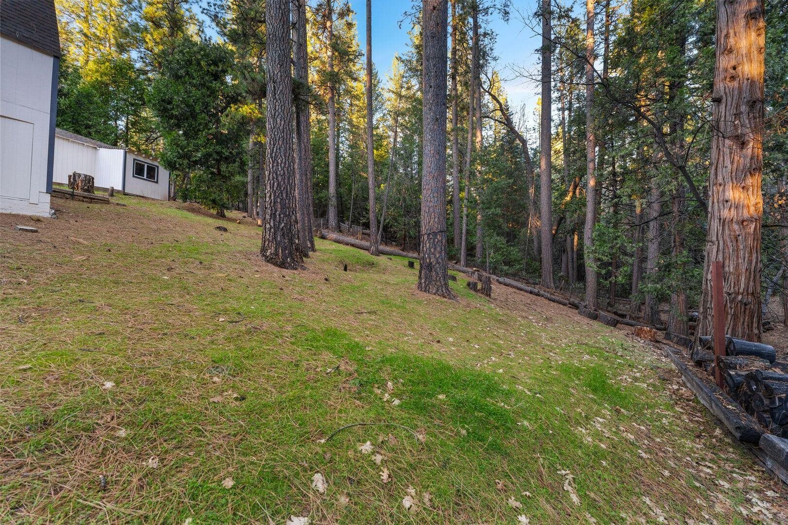 Detail Gallery Image 52 of 60 For 5841 Fallen Oak Trl, Pollock Pines,  CA 95726 - 2 Beds | 2 Baths