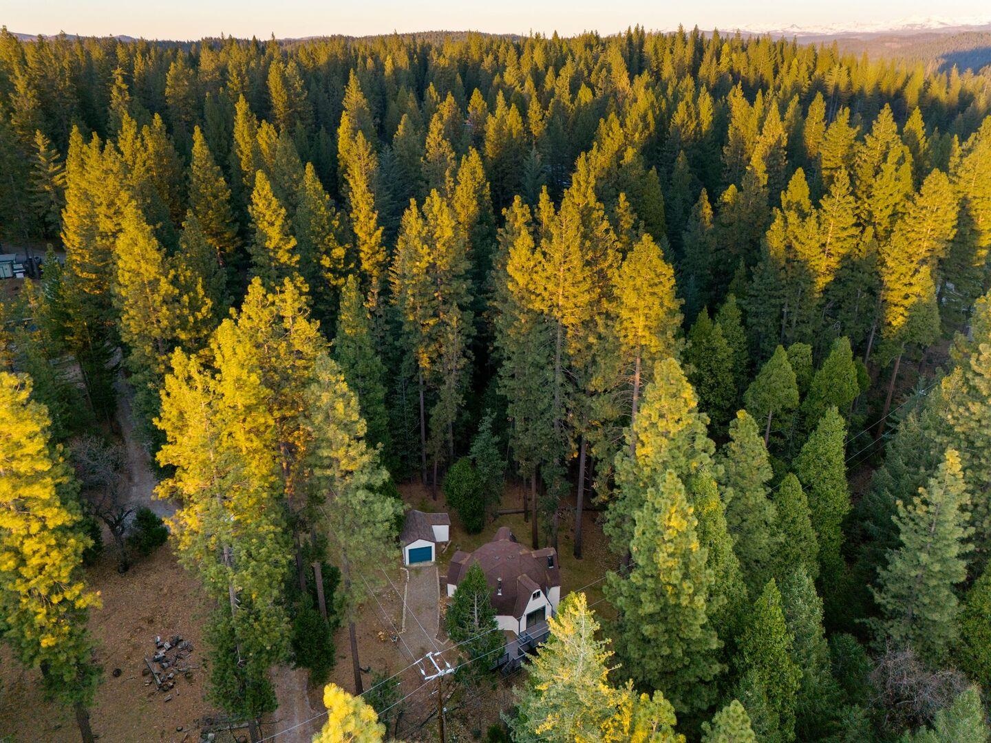 Detail Gallery Image 58 of 60 For 5841 Fallen Oak Trl, Pollock Pines,  CA 95726 - 2 Beds | 2 Baths