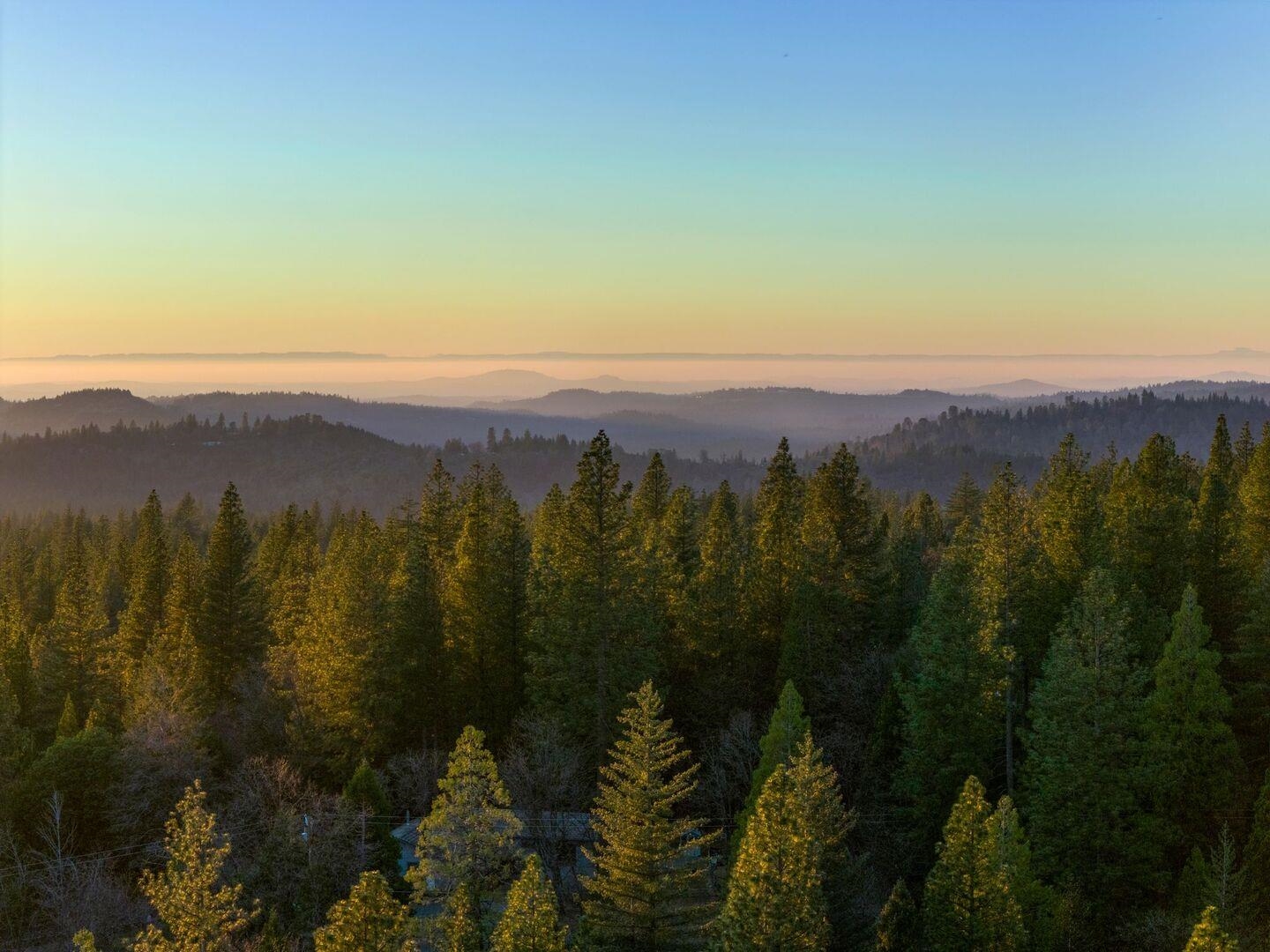 Detail Gallery Image 59 of 60 For 5841 Fallen Oak Trl, Pollock Pines,  CA 95726 - 2 Beds | 2 Baths