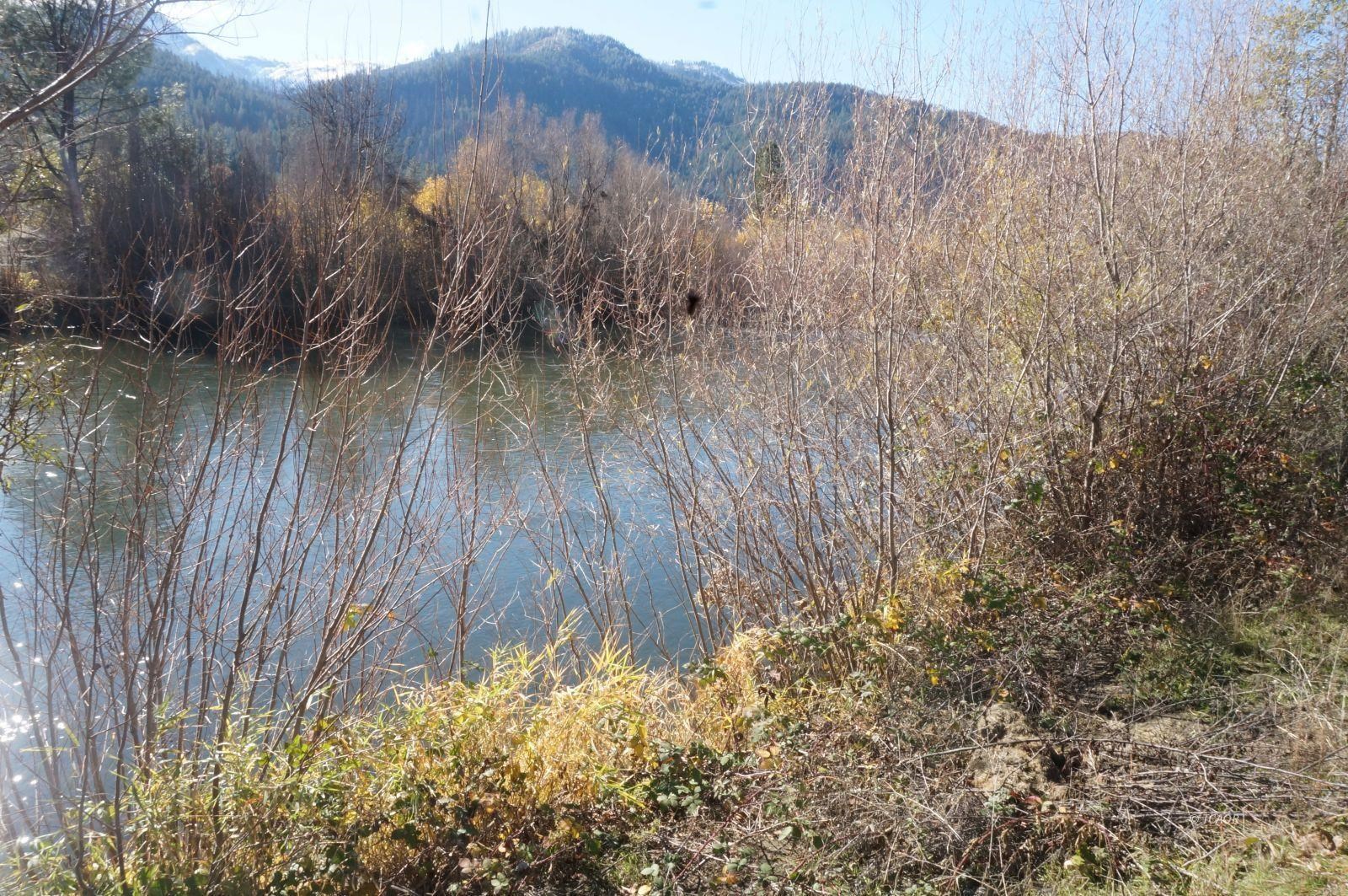 Detail Gallery Image 11 of 11 For 50 Acorn Ln, –,  CA 96048 - – Beds | – Baths