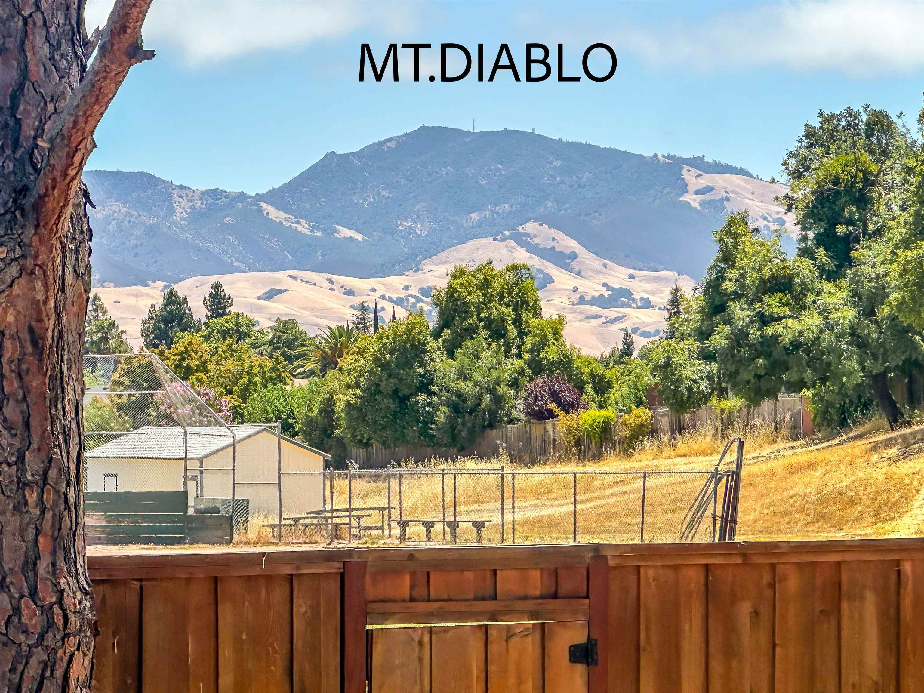 Detail Gallery Image 55 of 55 For 589 Maureen Ln, Pleasant Hill,  CA 94523 - 3 Beds | 2 Baths