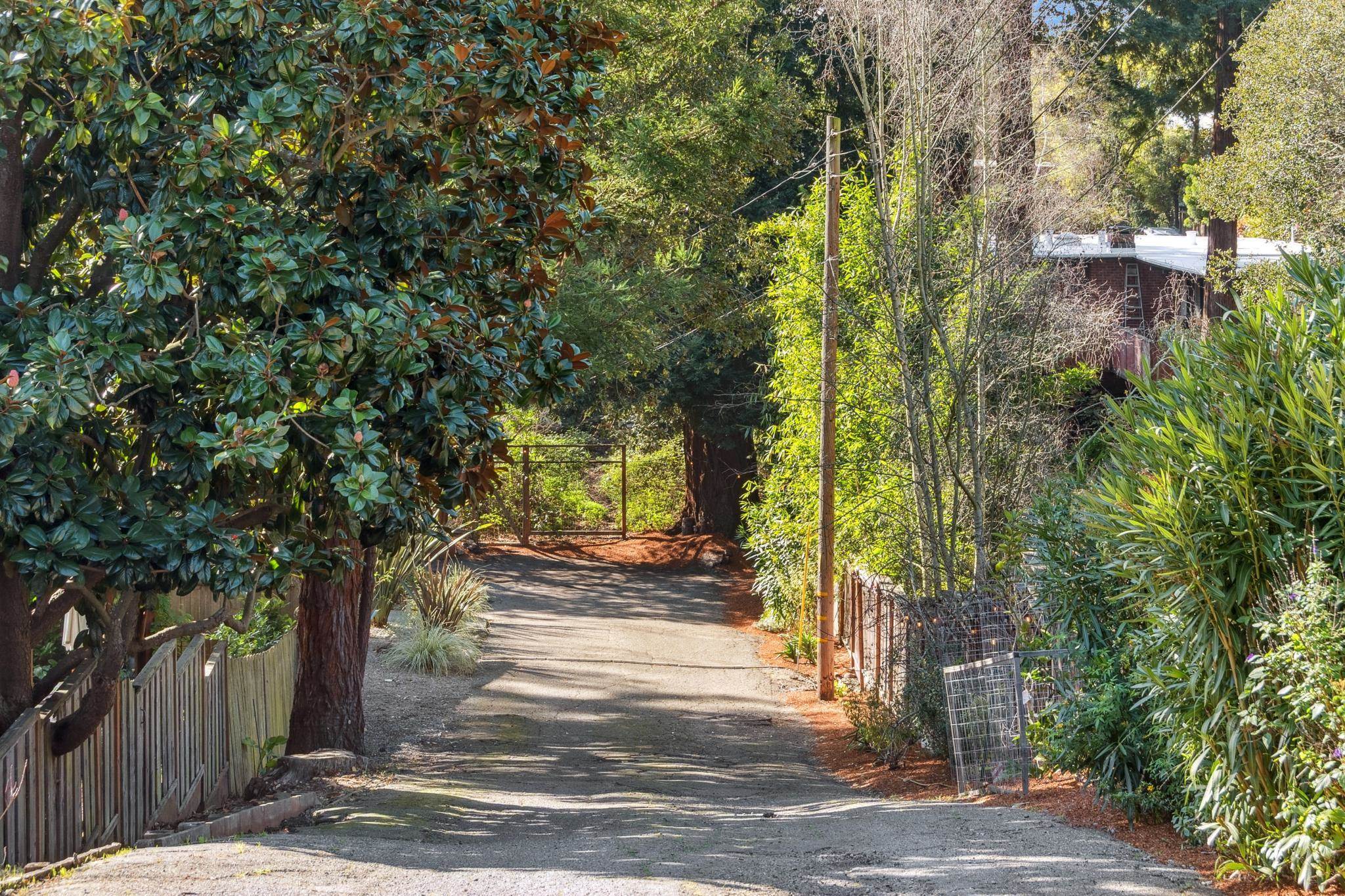 Detail Gallery Image 44 of 47 For 58 Arlington Ave, Kensington,  CA 94707 - 4 Beds | 2 Baths