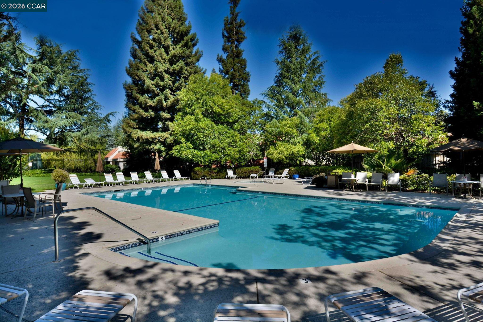 Photo #23: 41122312 Listing: Photo #23