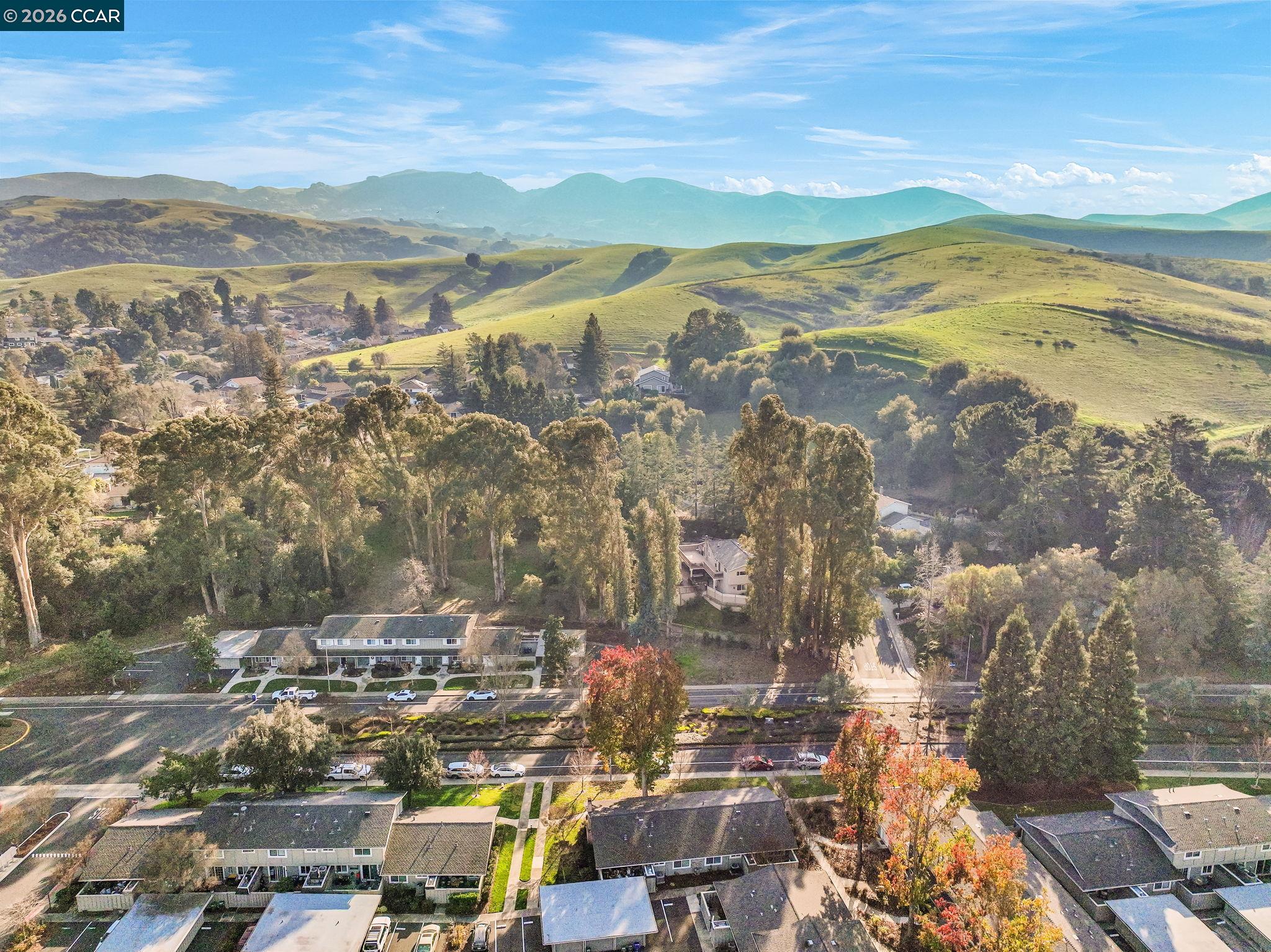 Photo #28: 41122313 Listing: Photo #28