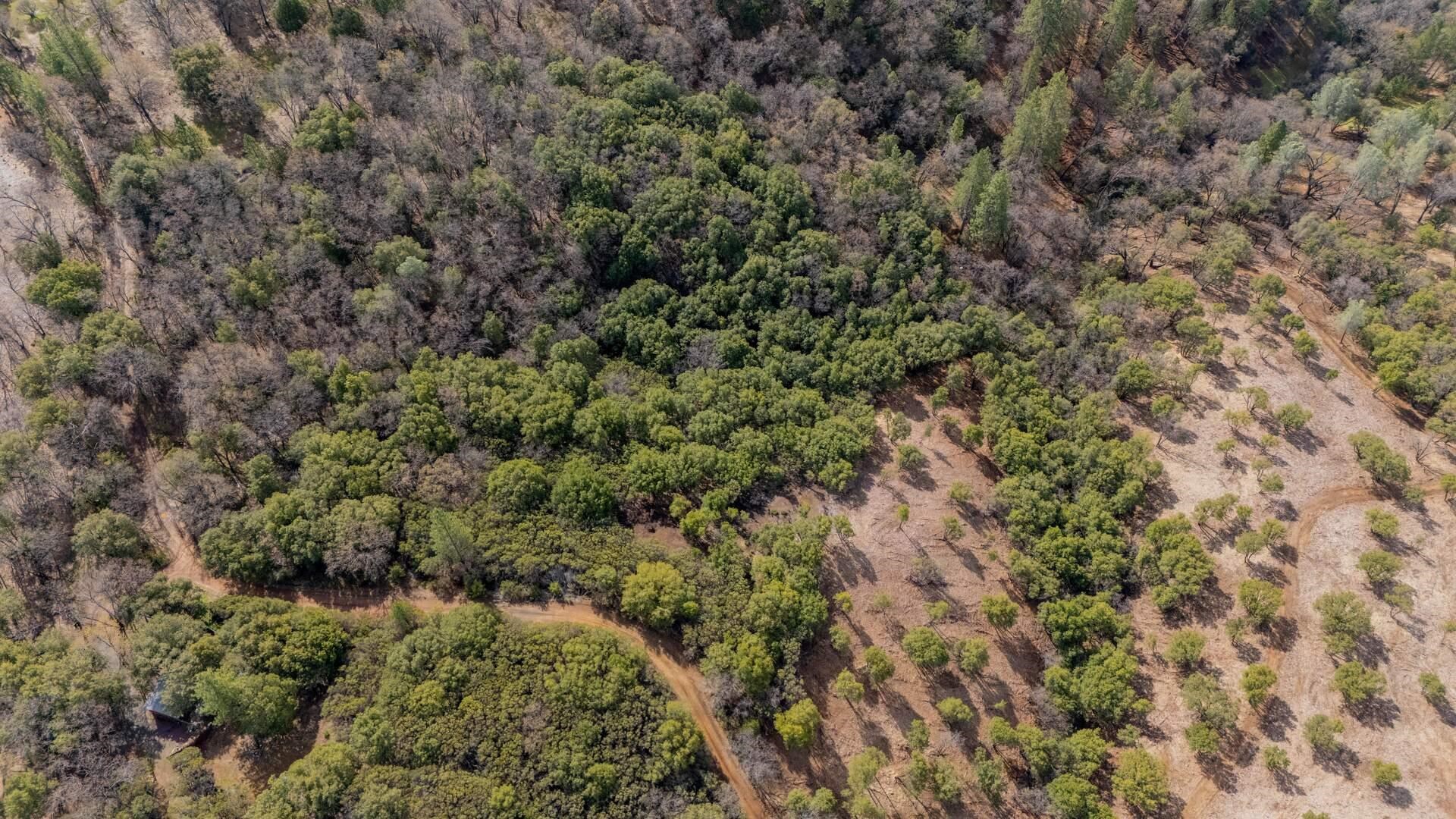 Detail Gallery Image 11 of 11 For 25555 Forest Rte 3n11, Columbia,  CA 95310 - – Beds | – Baths