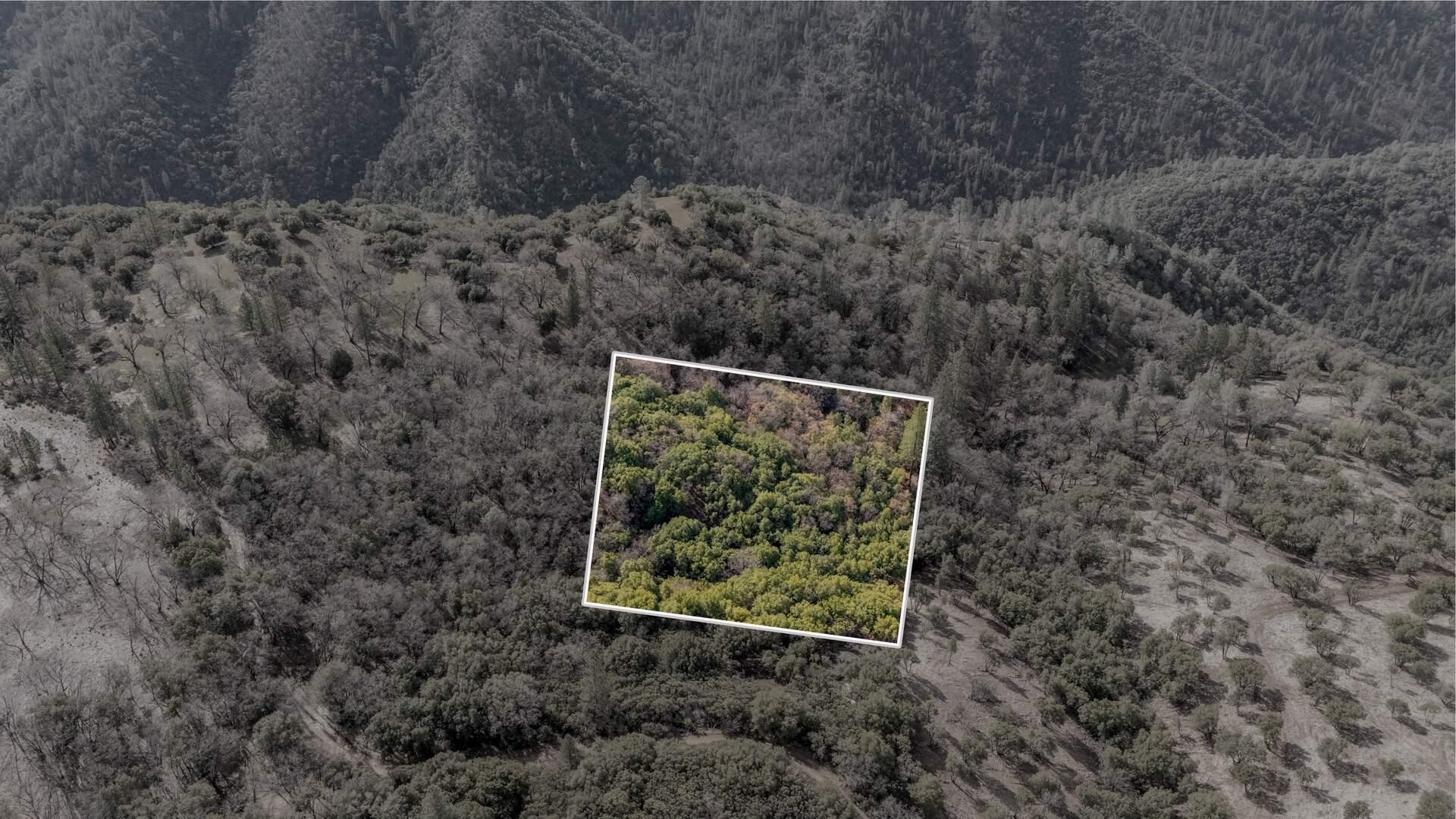 Detail Gallery Image 3 of 11 For 25555 Forest Rte 3n11, Columbia,  CA 95310 - – Beds | – Baths