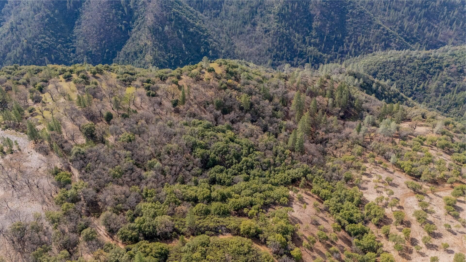 Detail Gallery Image 4 of 11 For 25555 Forest Rte 3n11, Columbia,  CA 95310 - – Beds | – Baths