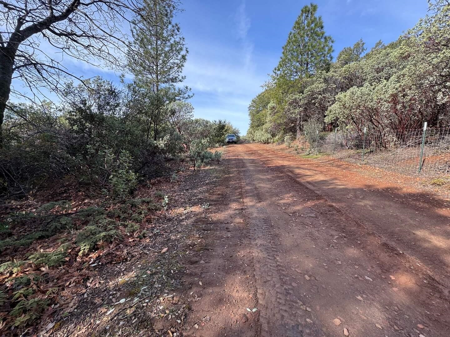 Detail Gallery Image 8 of 11 For 25555 Forest Rte 3n11, Columbia,  CA 95310 - – Beds | – Baths