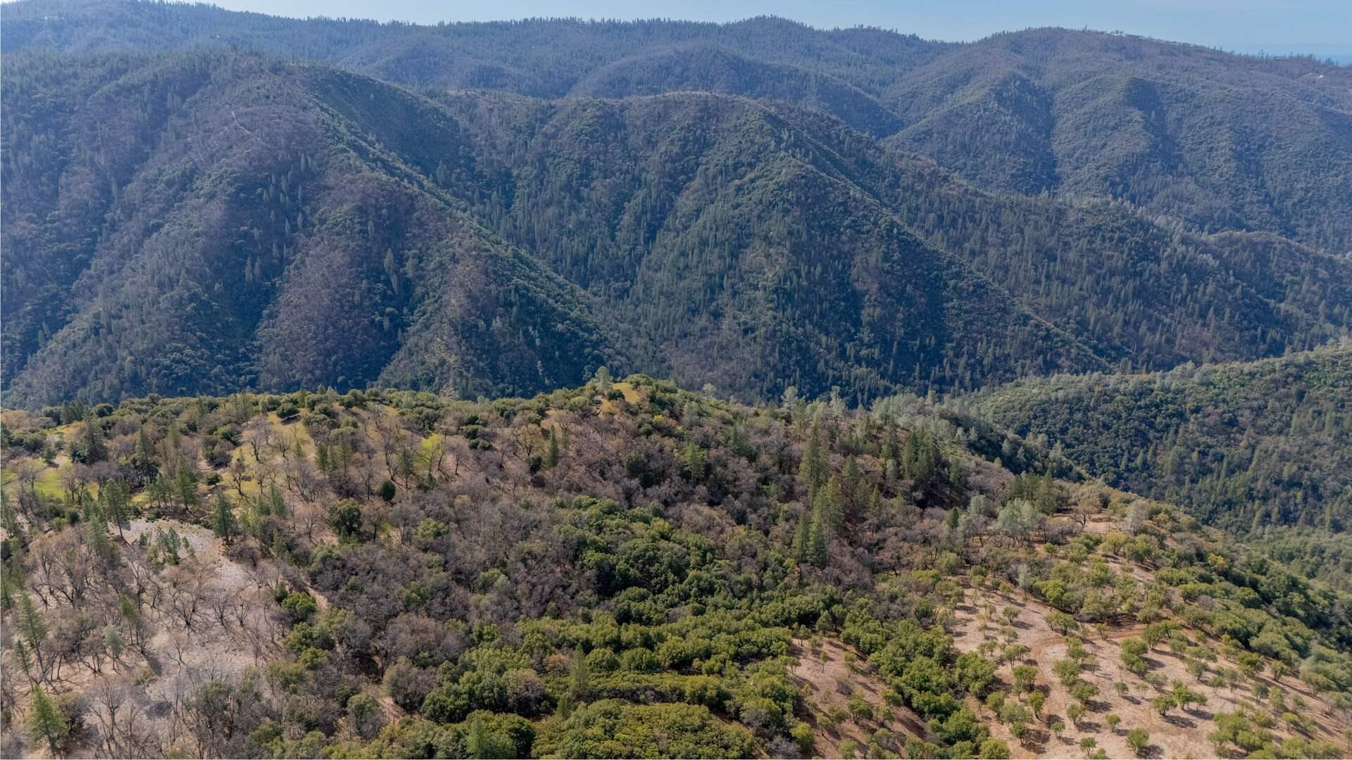 Detail Gallery Image 10 of 11 For 25555 Forest Rte 3n11, Columbia,  CA 95310 - – Beds | – Baths