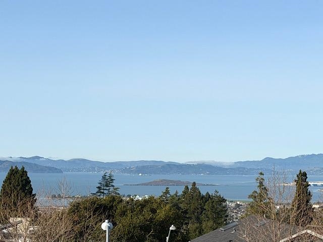 Detail Gallery Image 14 of 60 For 225 Arlington Ave., Kensington,  CA 94707 - 4 Beds | 3 Baths