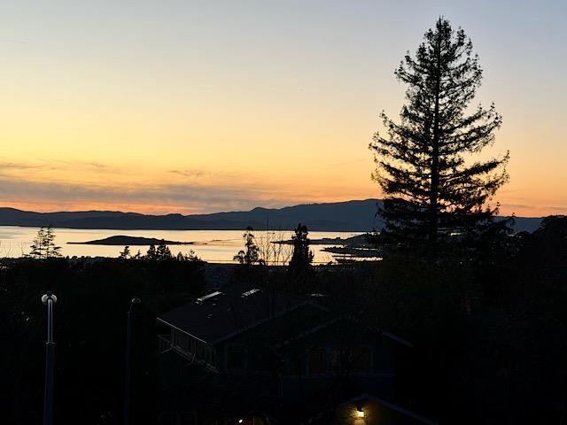 Detail Gallery Image 15 of 60 For 225 Arlington Ave., Kensington,  CA 94707 - 4 Beds | 3 Baths