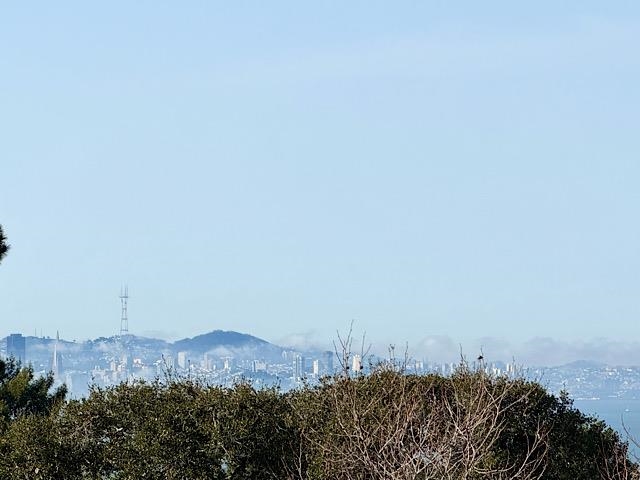 Detail Gallery Image 17 of 60 For 225 Arlington Ave., Kensington,  CA 94707 - 4 Beds | 3 Baths