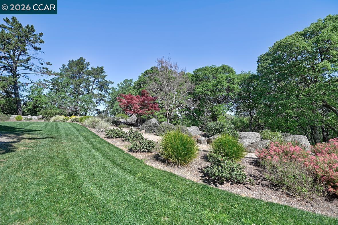 Photo #28: 41122345 Listing: Photo #28