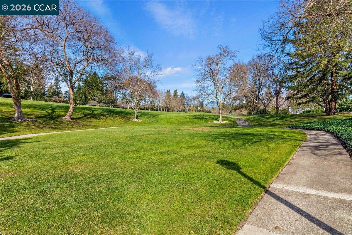 Photo #45: 41122356 Listing: Photo #45