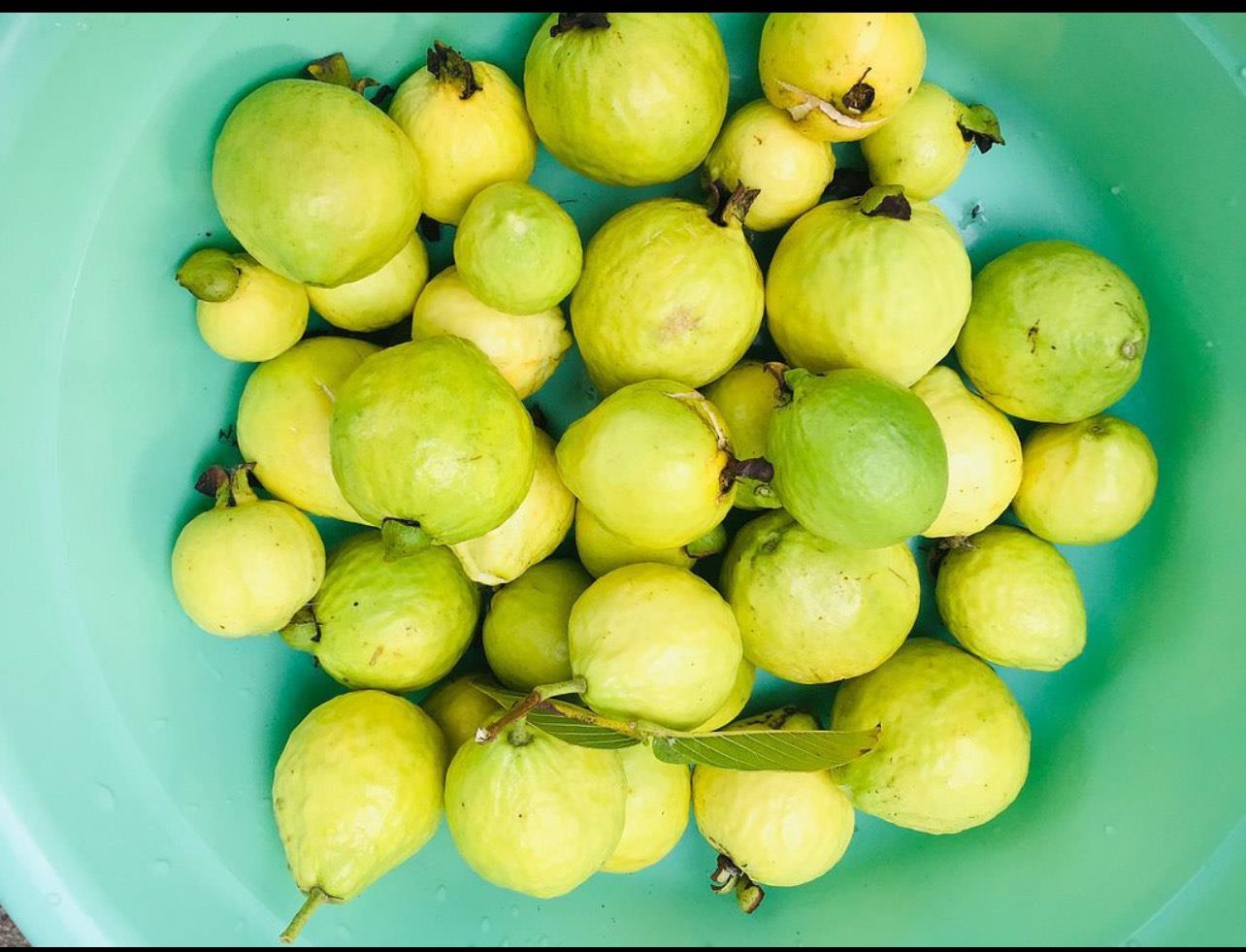 Detail Gallery Image 20 of 23 For 1034 Trenton Blvd, San Pablo,  CA 94806 - 3 Beds | 2 Baths