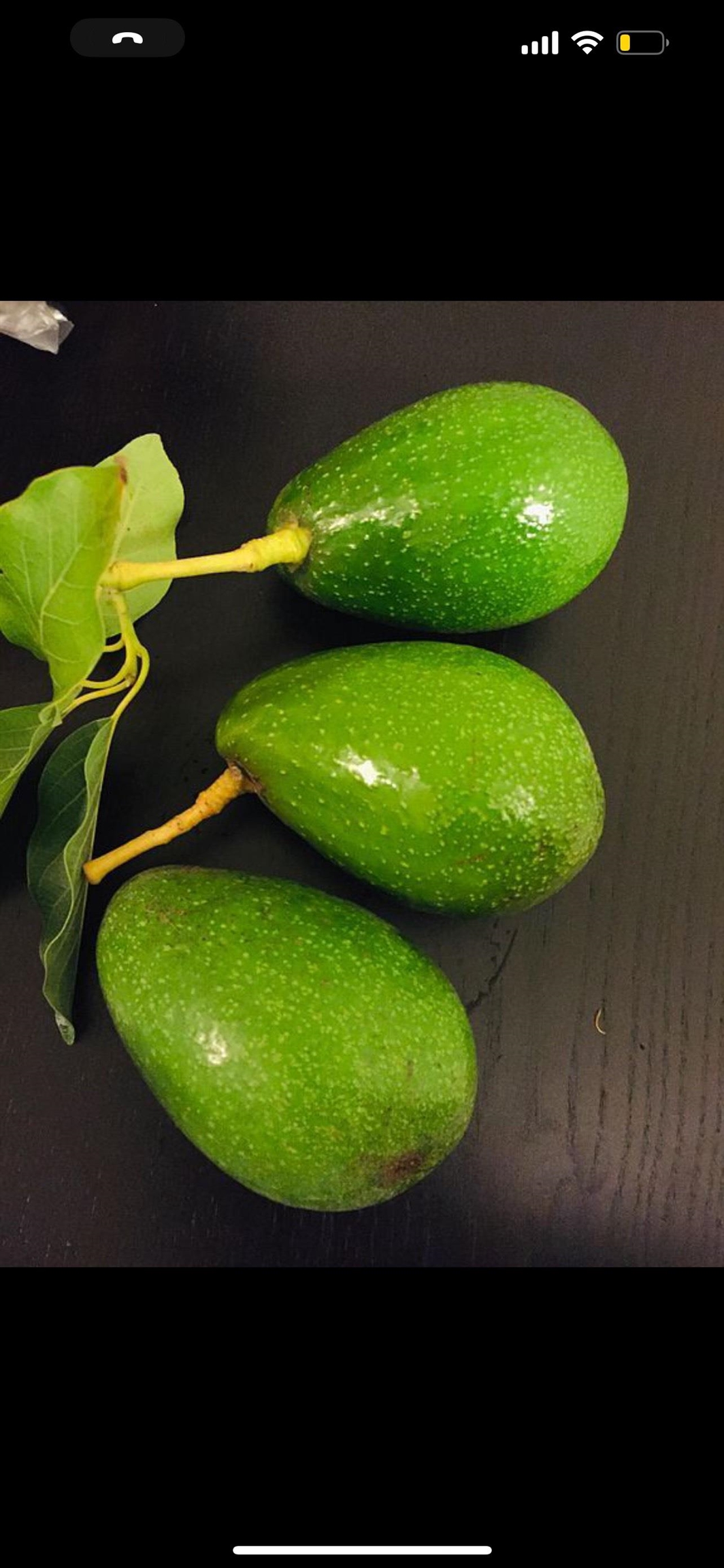 Detail Gallery Image 22 of 23 For 1034 Trenton Blvd, San Pablo,  CA 94806 - 3 Beds | 2 Baths