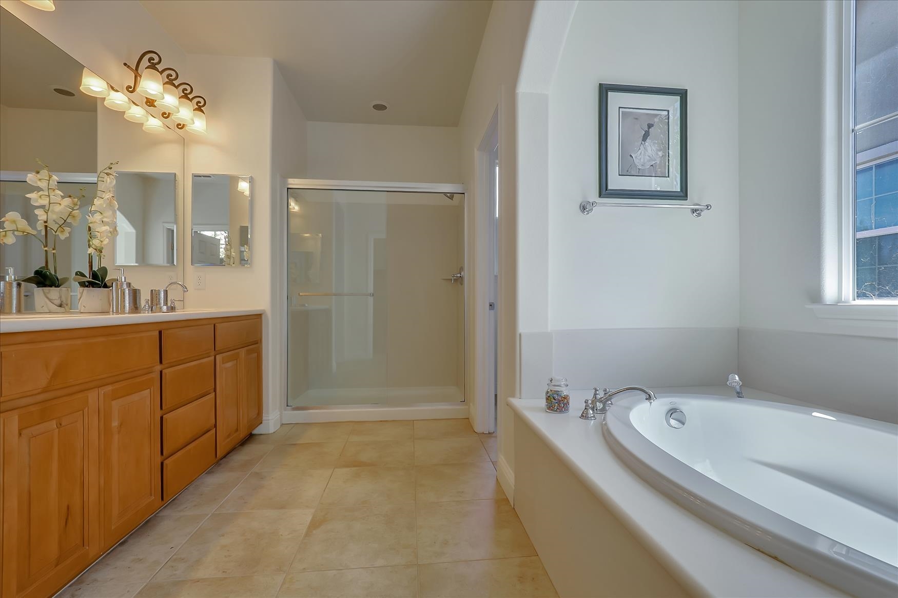 Detail Gallery Image 28 of 34 For 626 W La Canada Ave, Mountain House,  CA 95391 - 4 Beds | 2/1 Baths