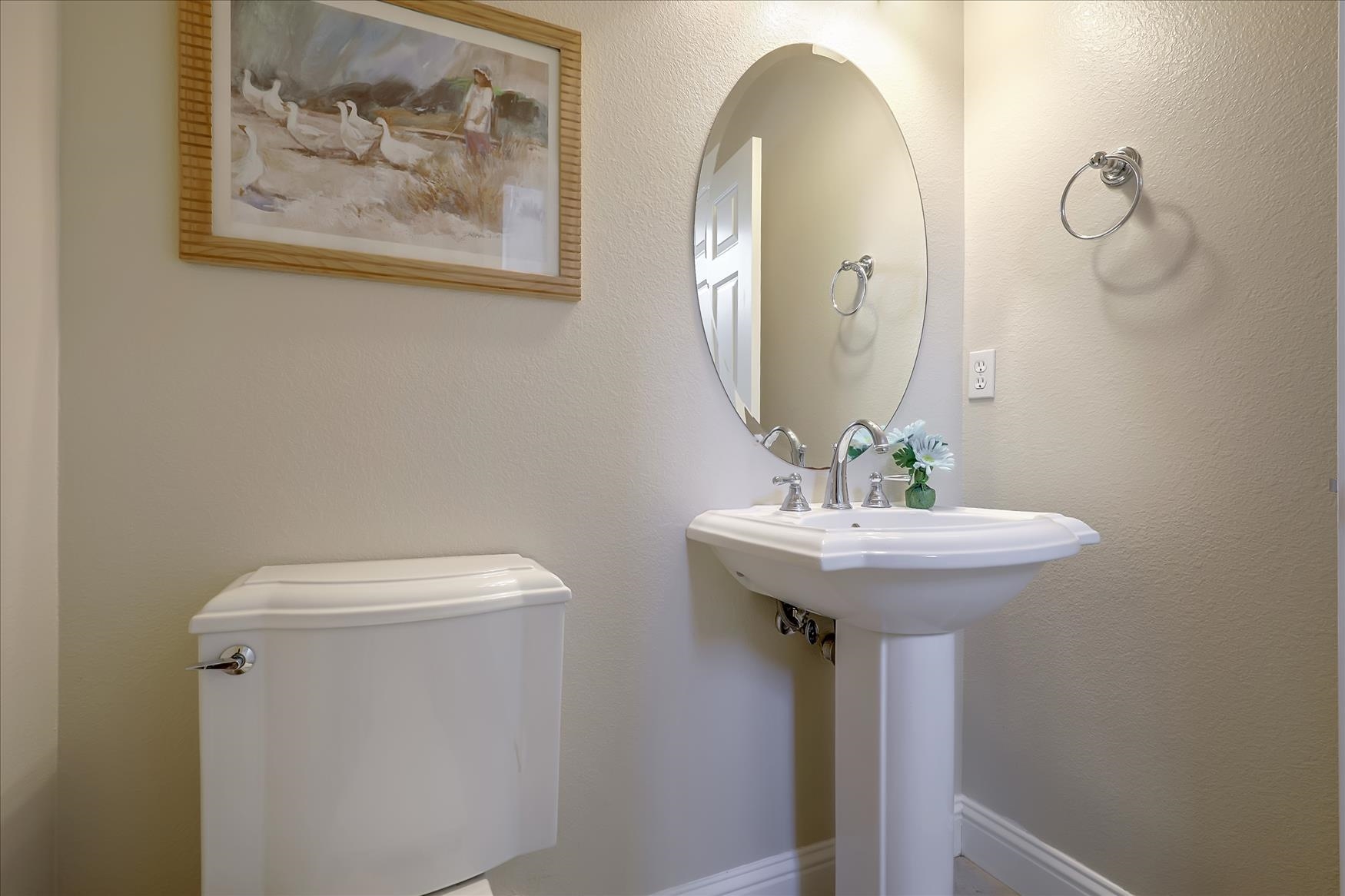 Detail Gallery Image 29 of 34 For 626 W La Canada Ave, Mountain House,  CA 95391 - 4 Beds | 2/1 Baths