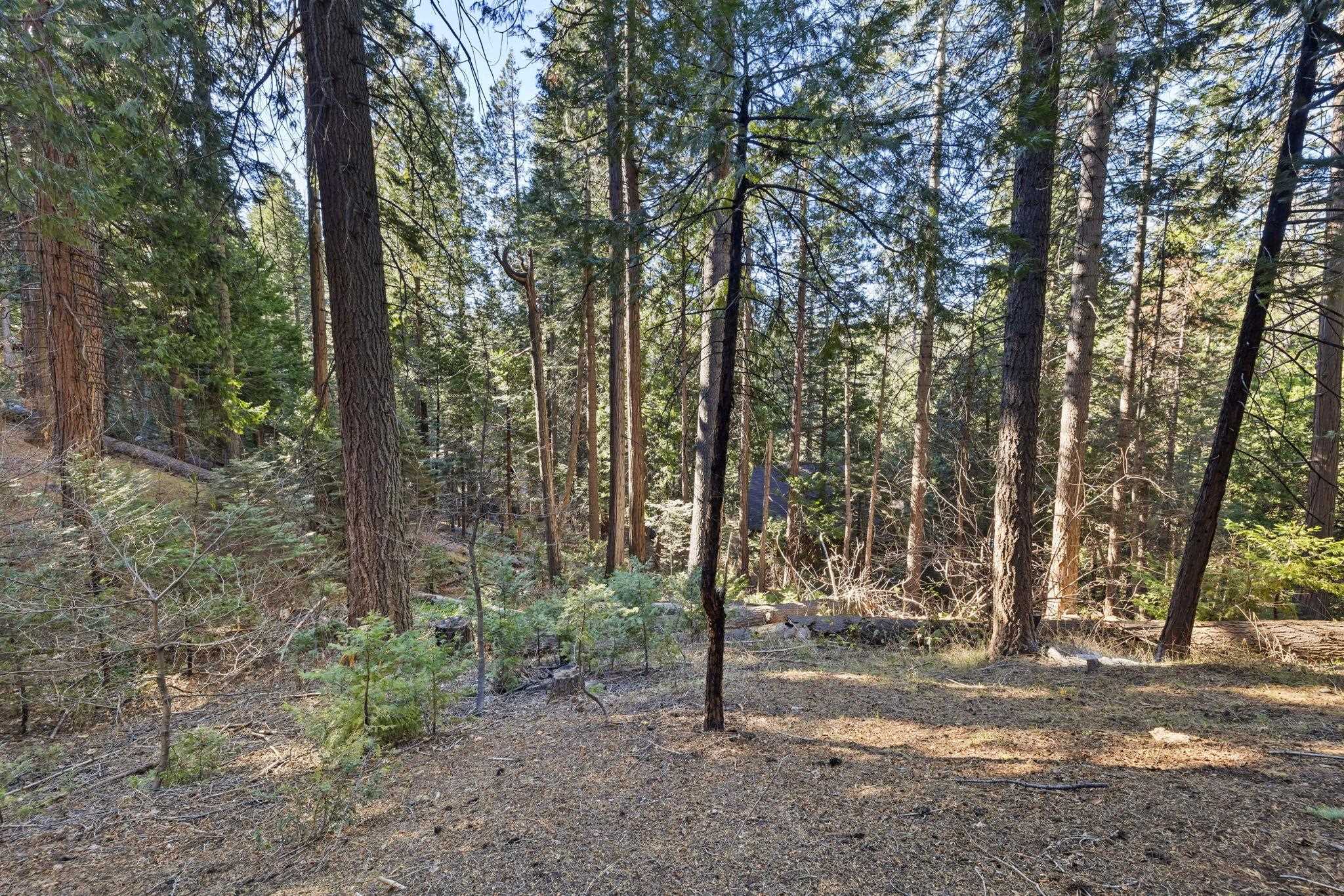 Detail Gallery Image 35 of 38 For 24144 Olo Win Trl, Mi Wuk Village,  CA 95346 - 3 Beds | 2 Baths