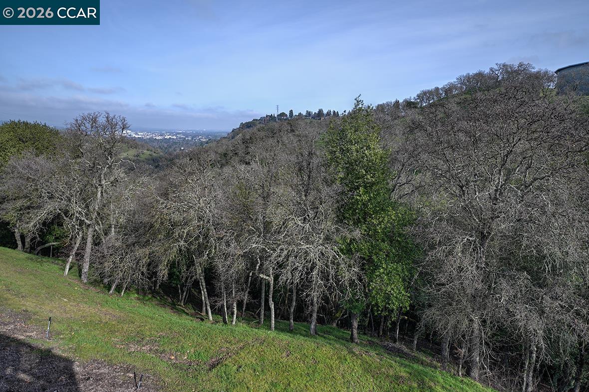 Photo #13: 41122384 Listing: Photo #13