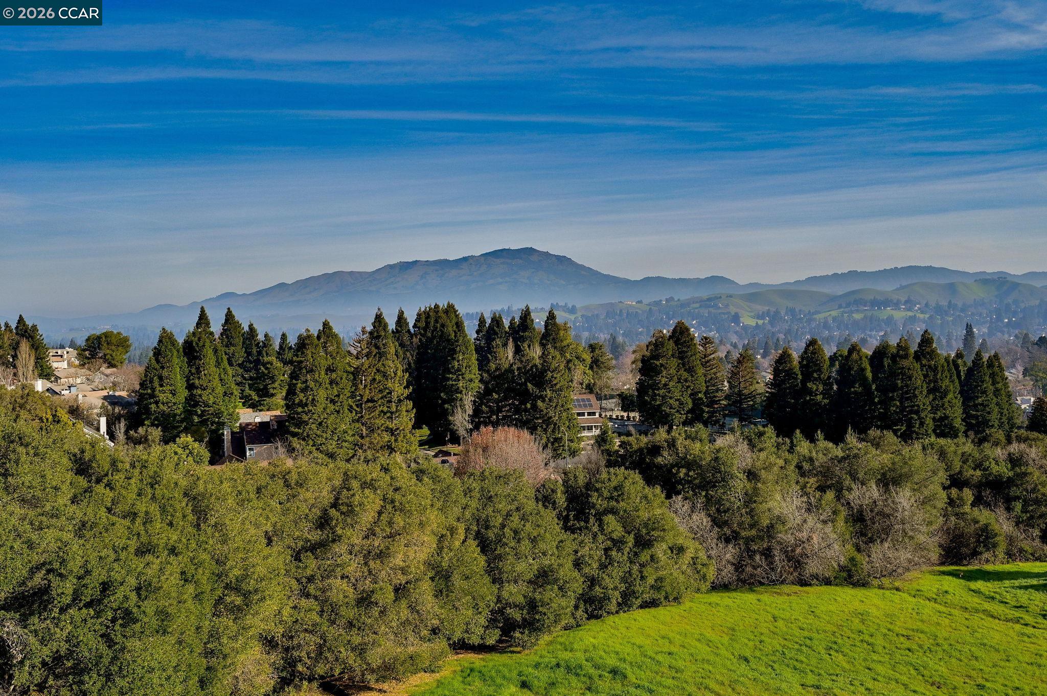 Detail Gallery Image 29 of 53 For 1819 Mockingbird Pl, Danville,  CA 94526 - 4 Beds | 2/1 Baths