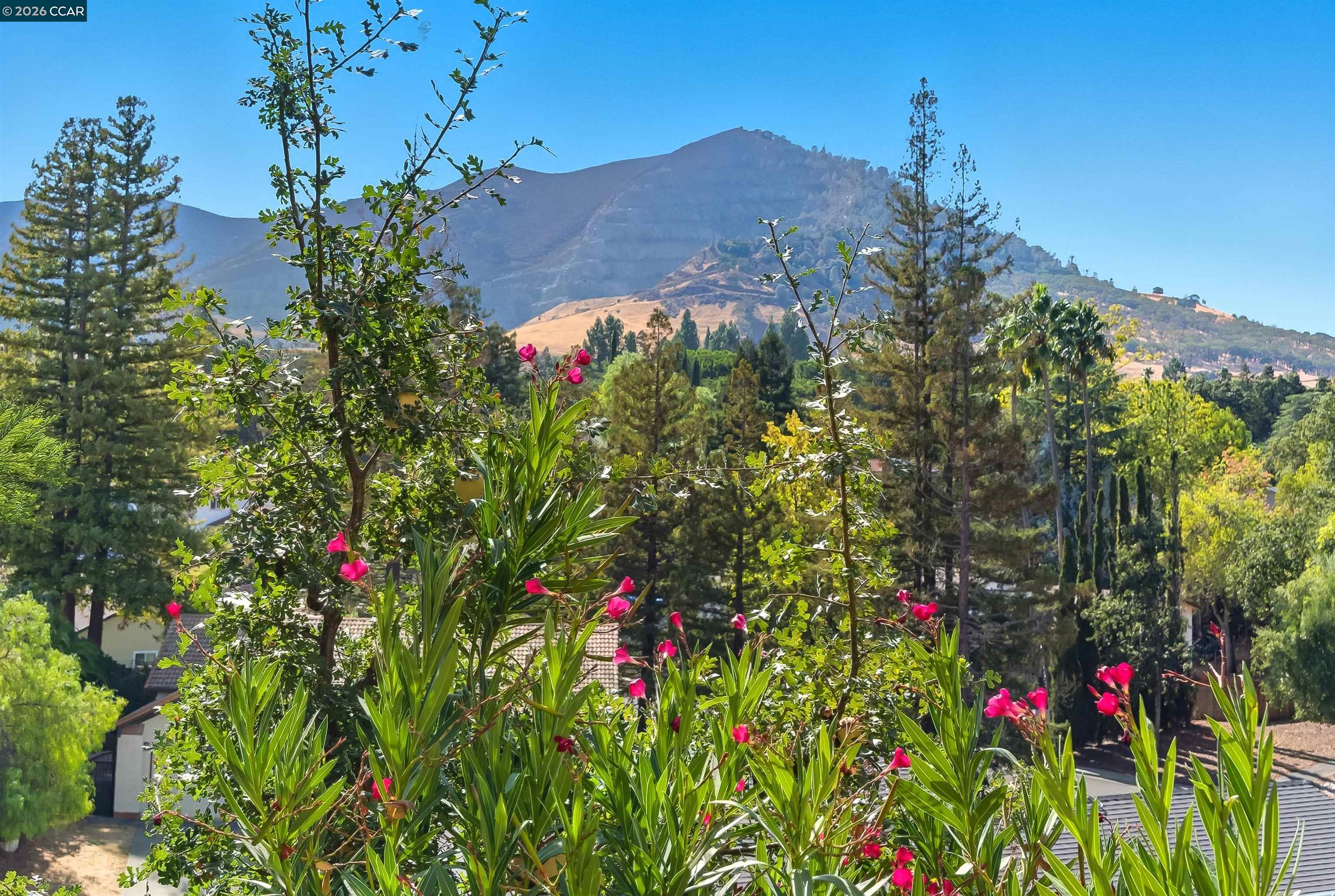 Detail Gallery Image 34 of 34 For 23 Mt Wilson Way, Clayton,  CA 94517-1642 - 2 Beds | 2 Baths