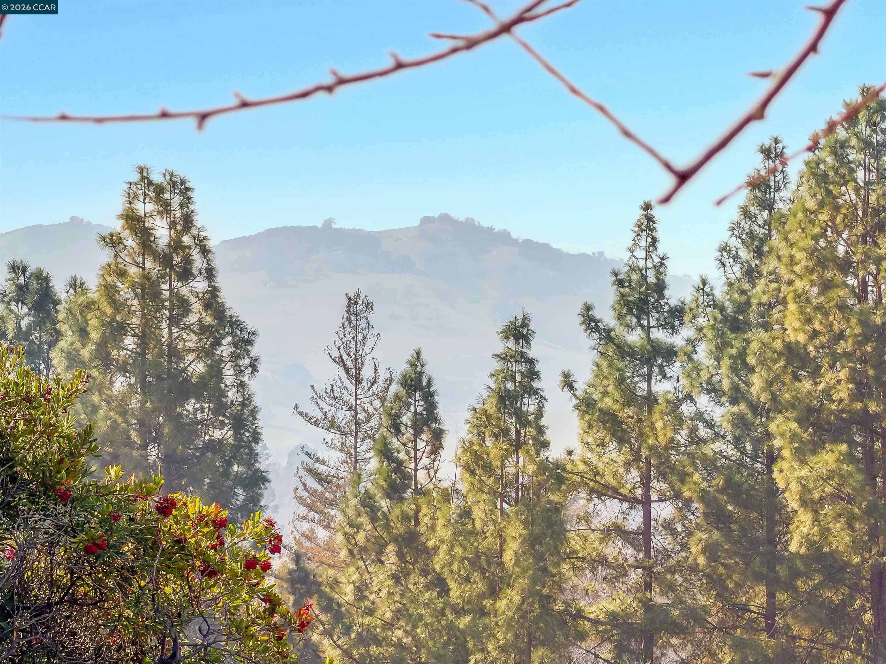 Photo #58: 41122443 Listing: Photo #58