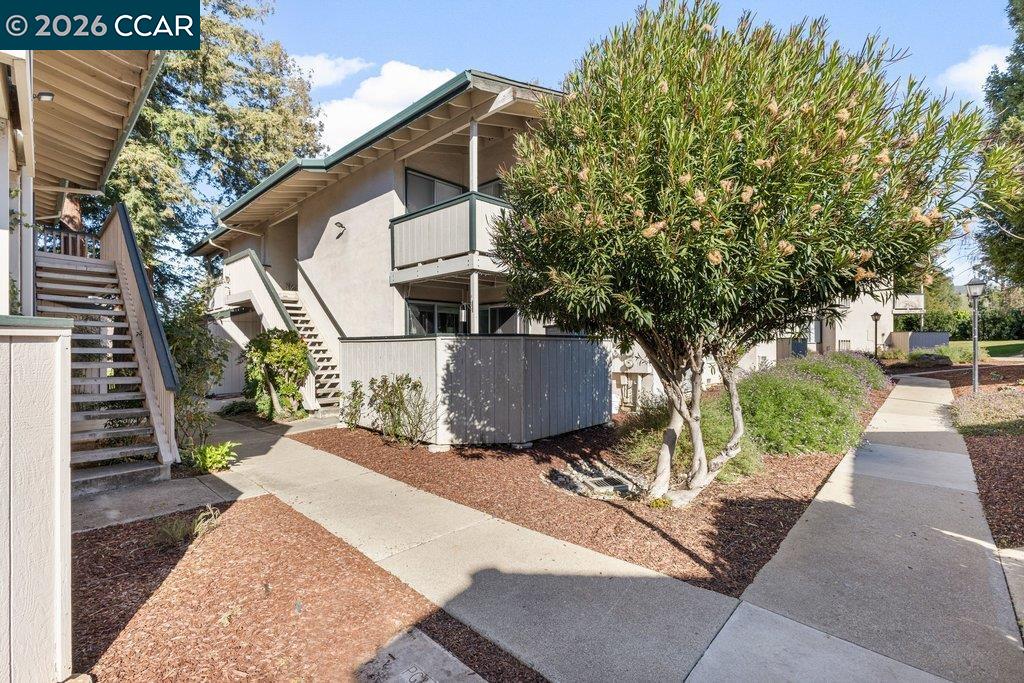 Photo #25: 41122446 Listing: Photo #25