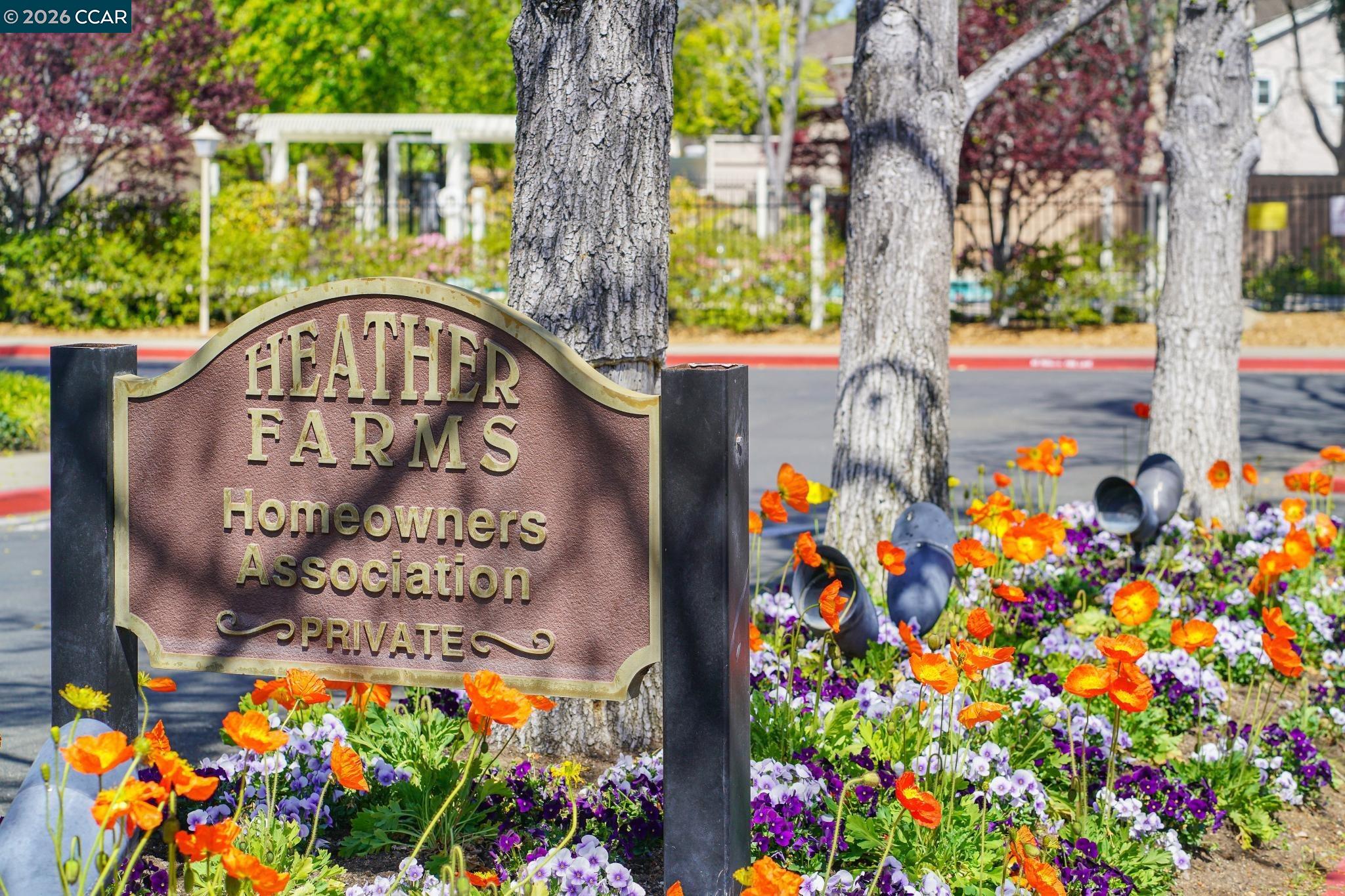 Photo #49: 41122448 Listing: Photo #49