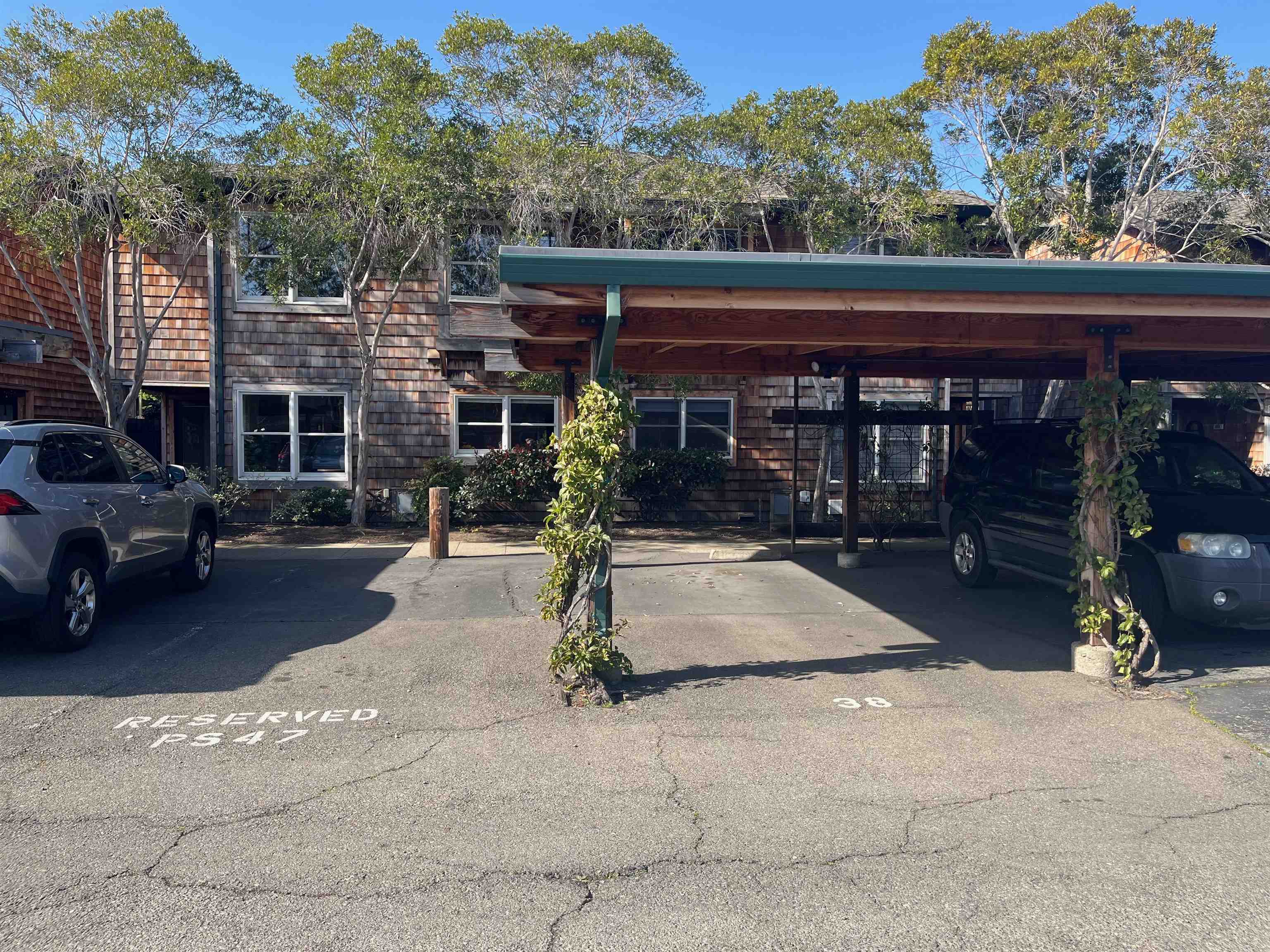 Photo #45: 41122477 Listing: Photo #45