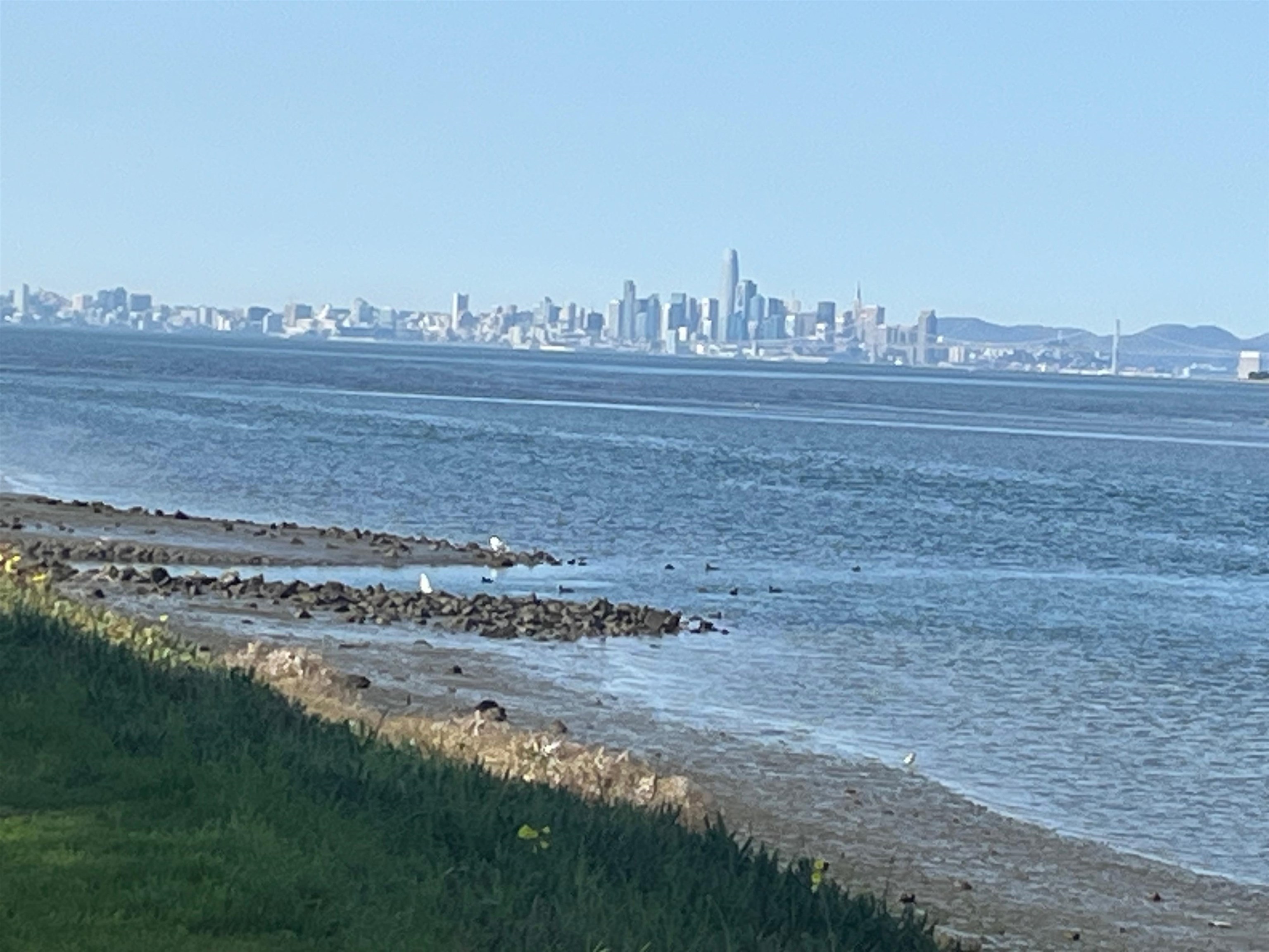 Photo #52: 41122477 Listing: Photo #52