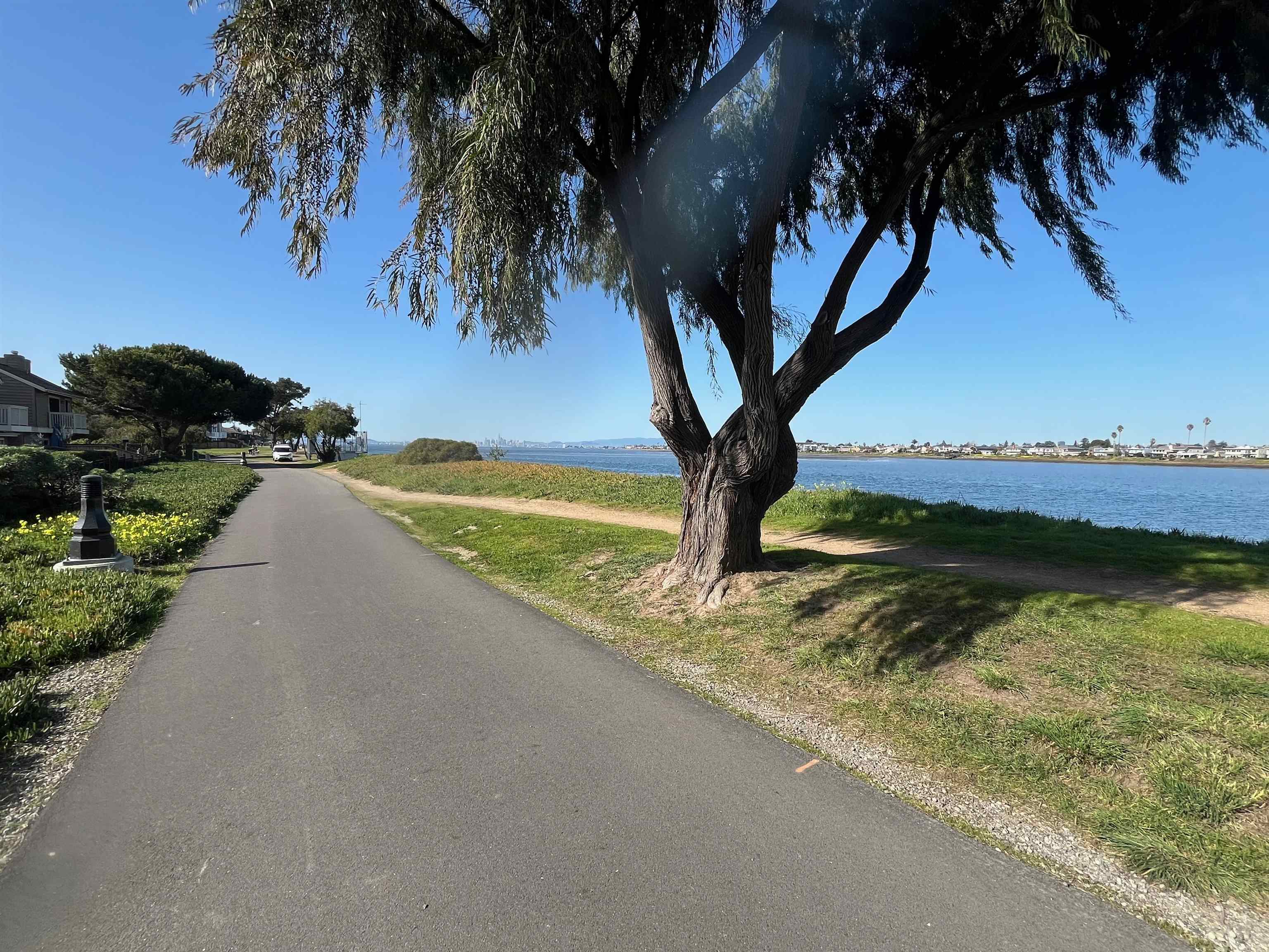 Photo #53: 41122477 Listing: Photo #53