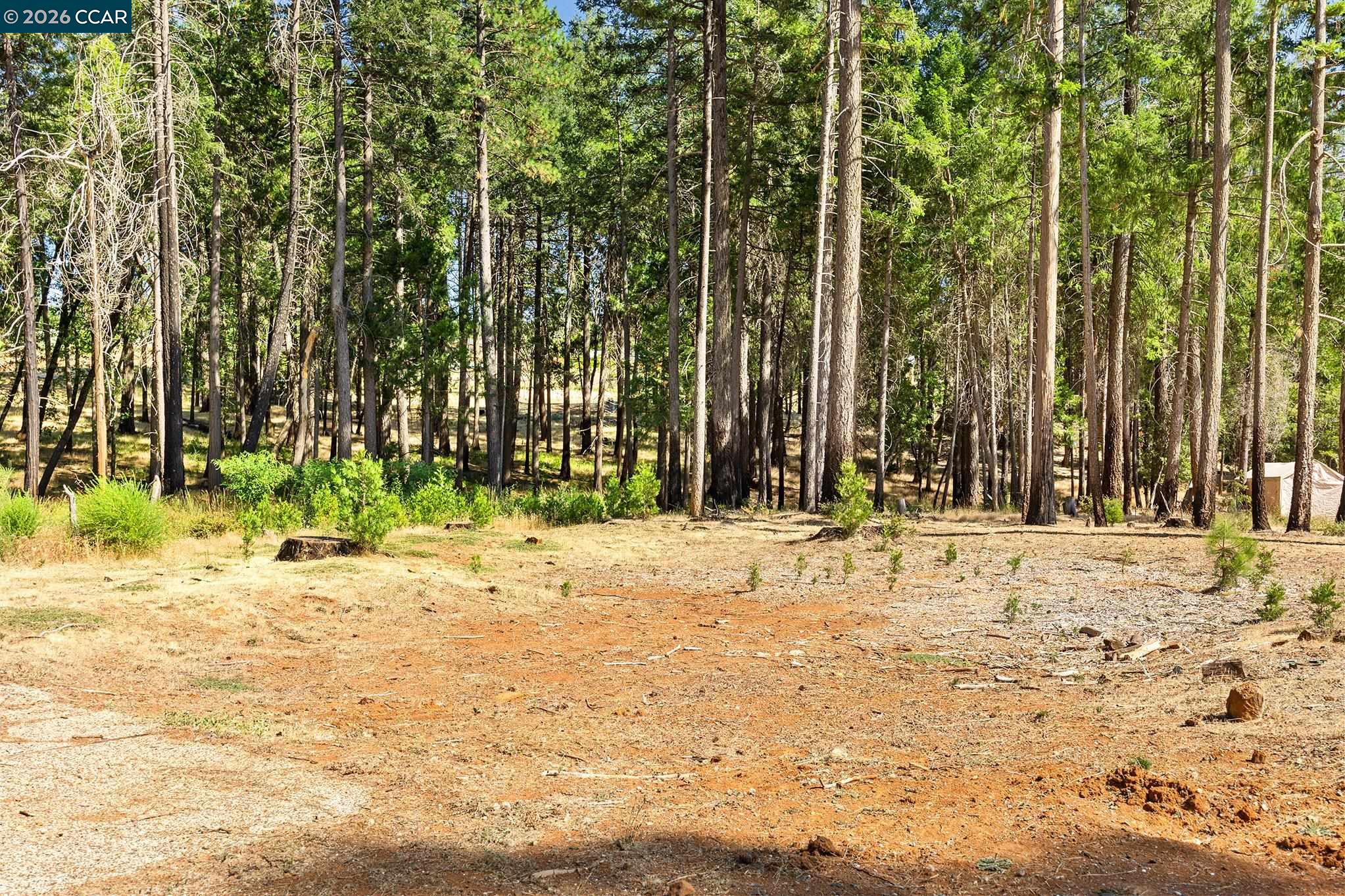 Detail Gallery Image 11 of 23 For 14080 Temple Cir, Magalia,  CA 95954 - – Beds | – Baths