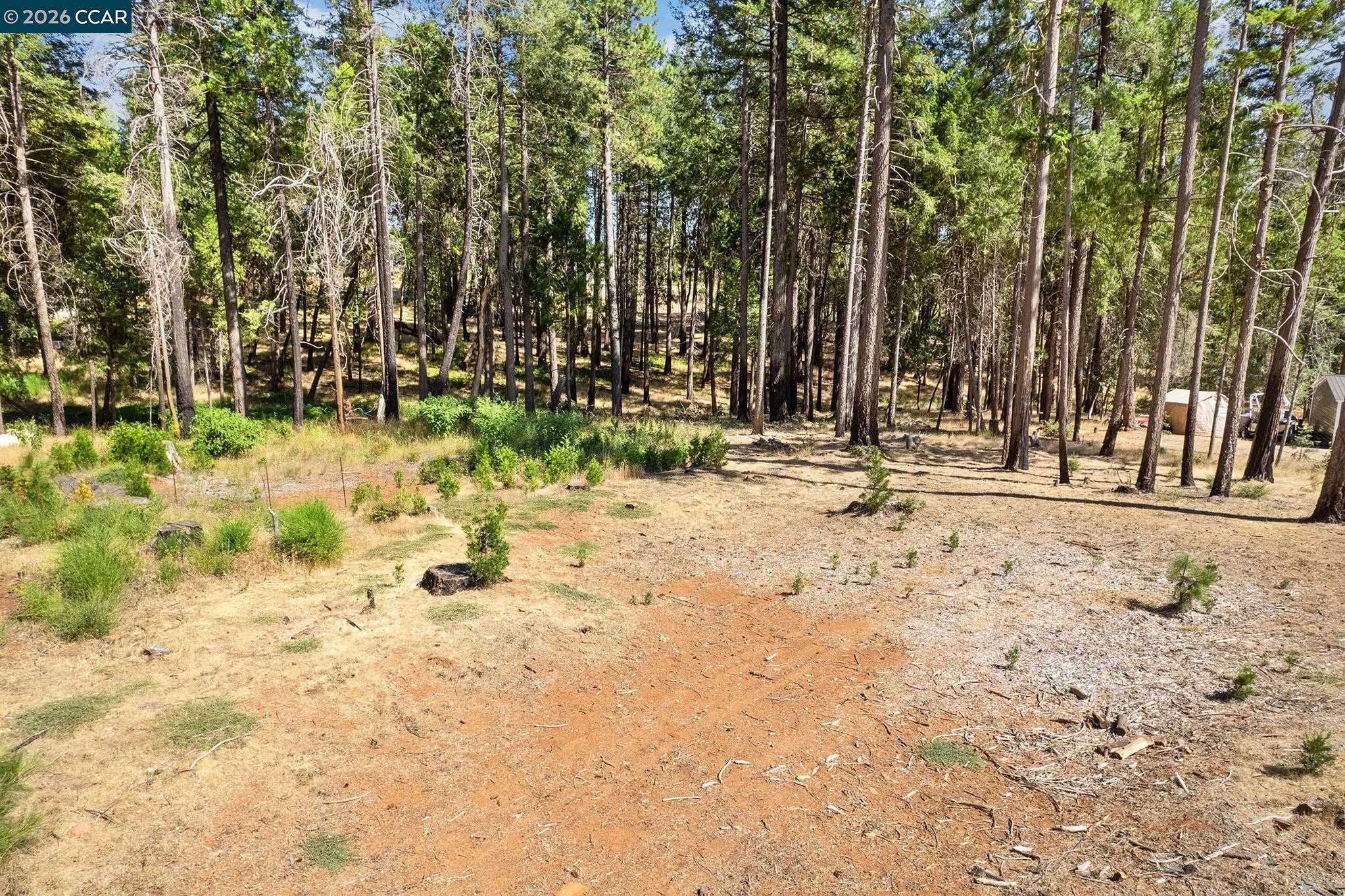 Detail Gallery Image 13 of 23 For 14080 Temple Cir, Magalia,  CA 95954 - – Beds | – Baths