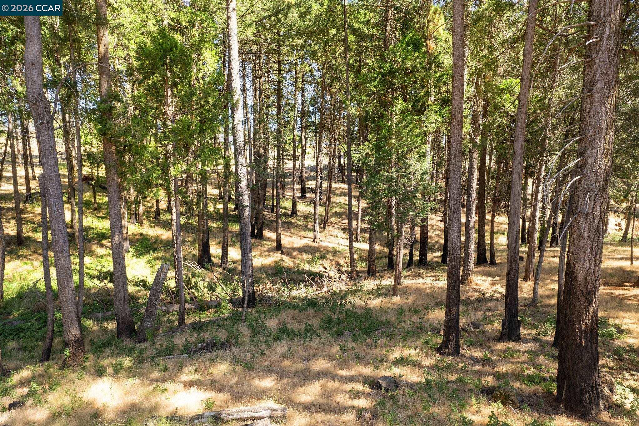 Detail Gallery Image 15 of 23 For 14080 Temple Cir, Magalia,  CA 95954 - – Beds | – Baths