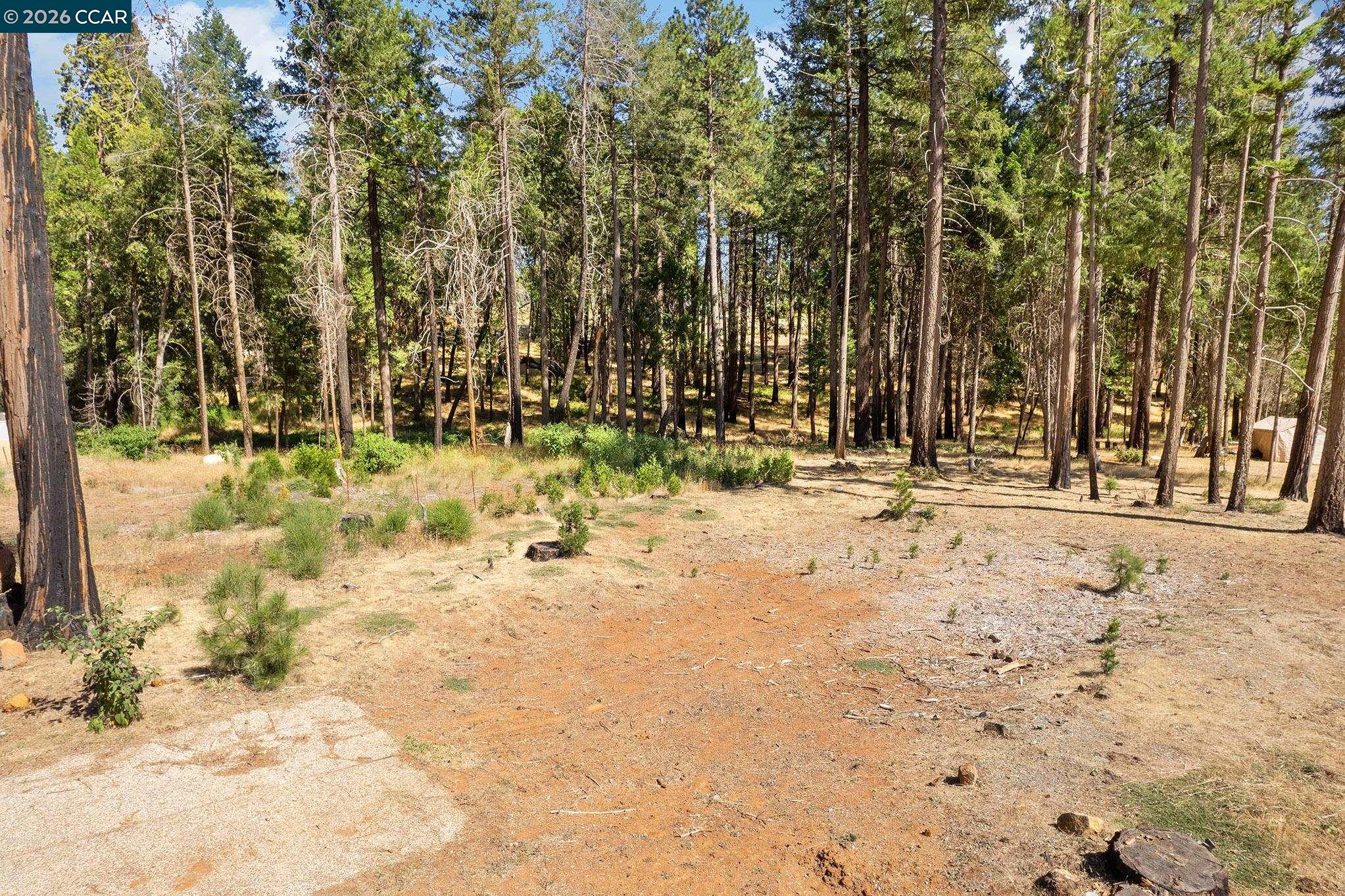 Detail Gallery Image 16 of 23 For 14080 Temple Cir, Magalia,  CA 95954 - – Beds | – Baths