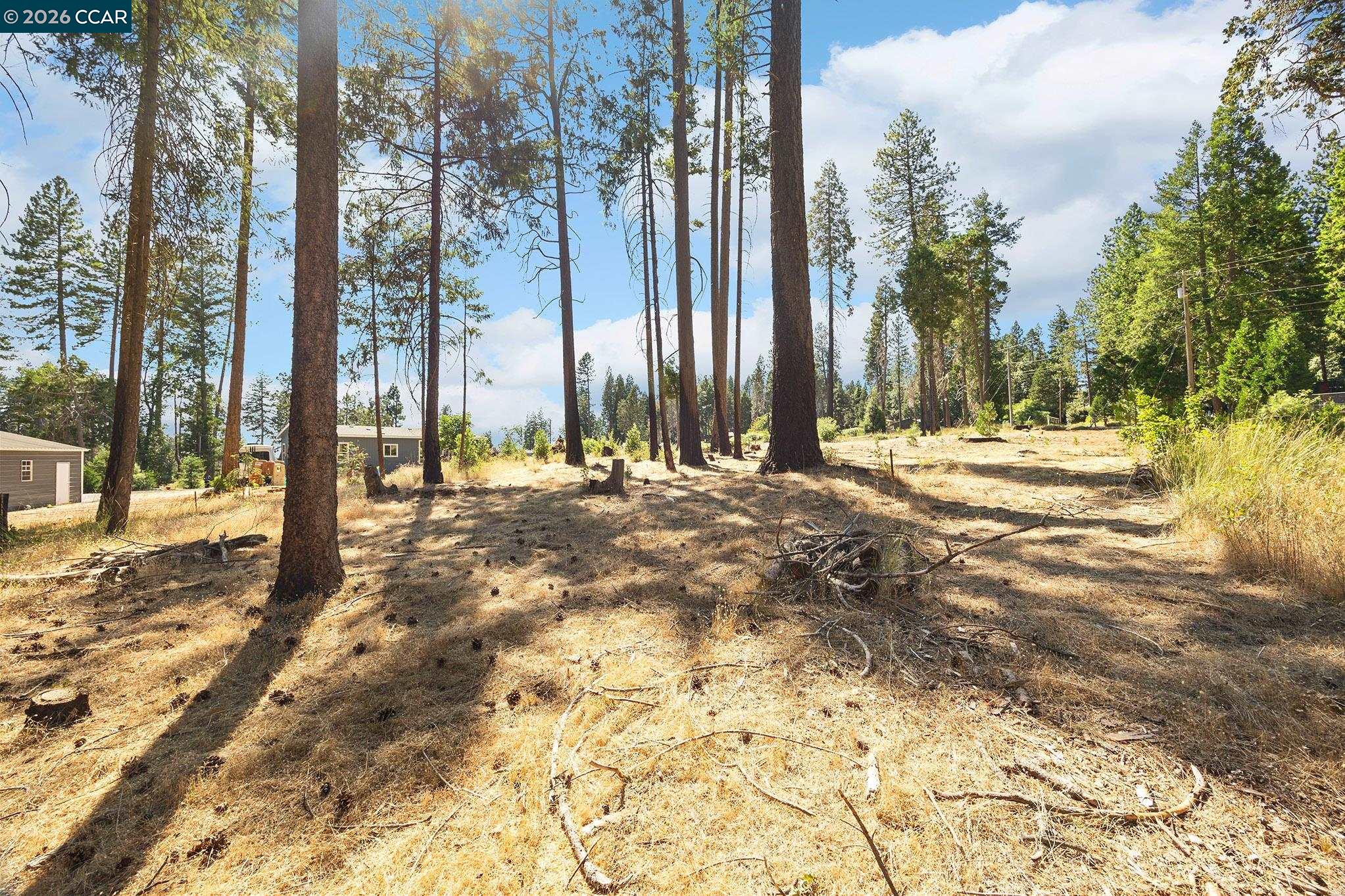 Detail Gallery Image 8 of 23 For 14080 Temple Cir, Magalia,  CA 95954 - – Beds | – Baths