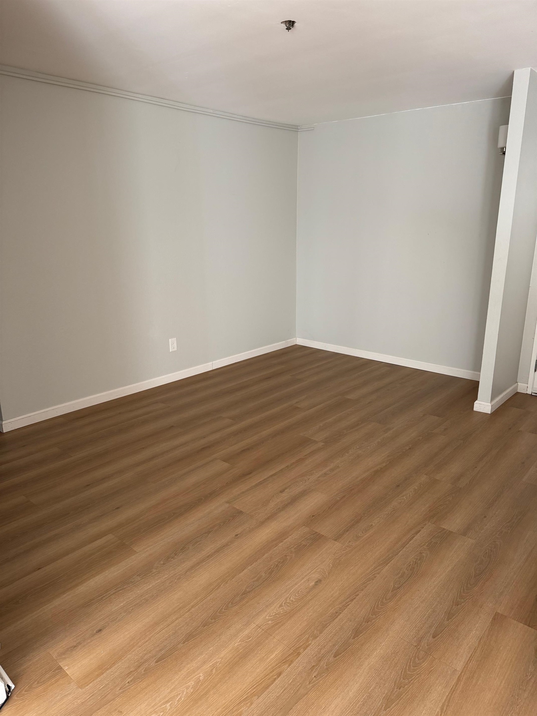 Photo #5: 41122486 Listing: Photo #5