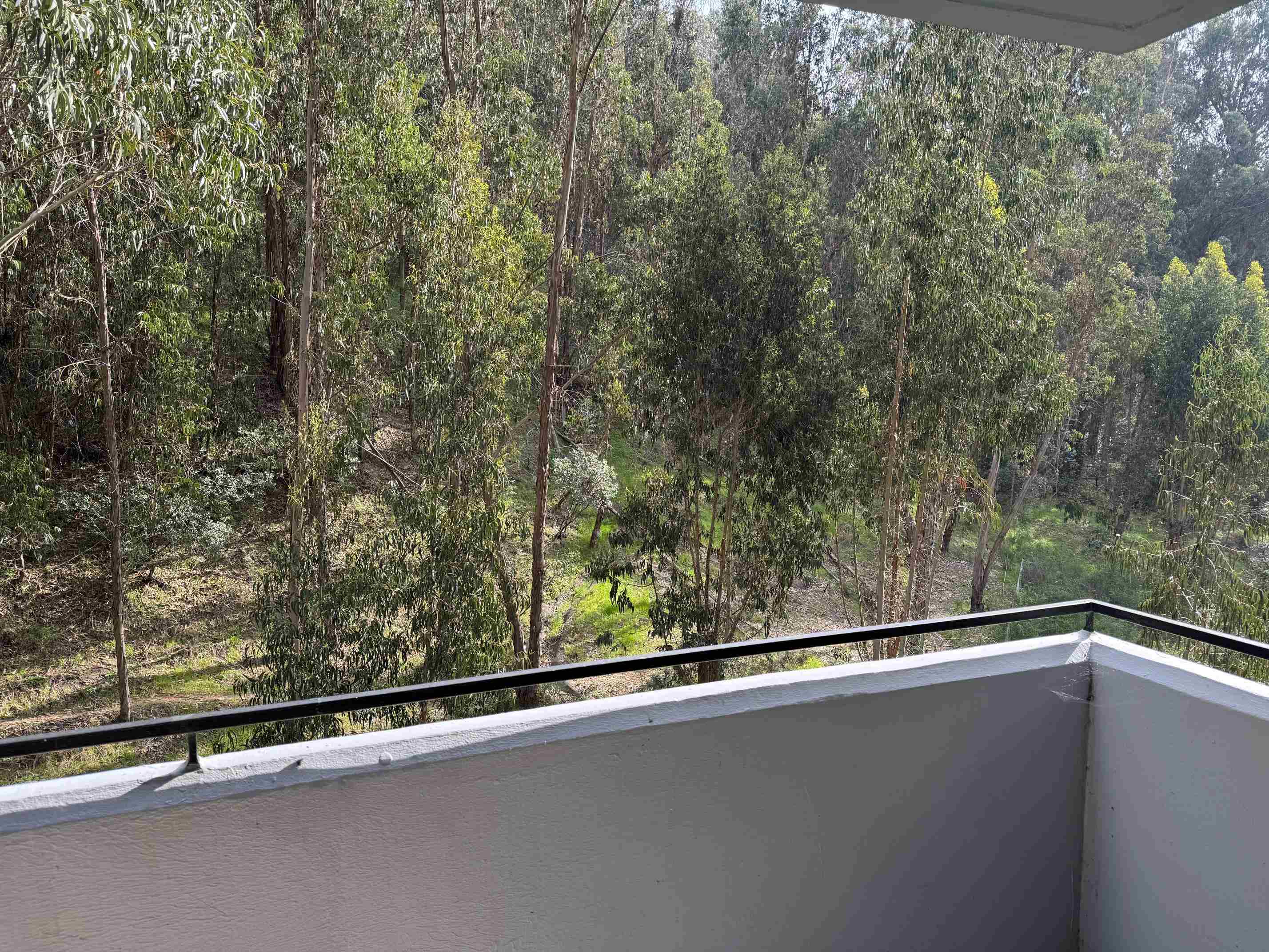 Photo #8: 41122486 Listing: Photo #8